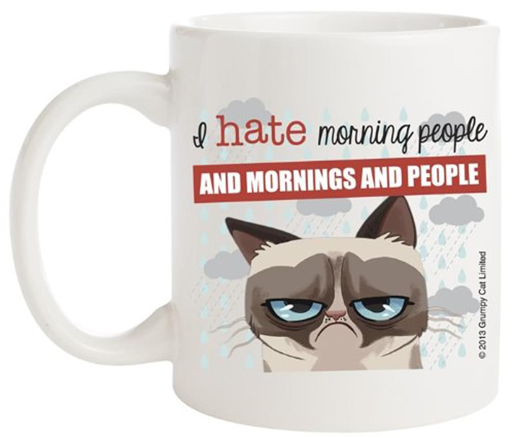 Grumpy Cat Porcelain Mug I Hate Morning People