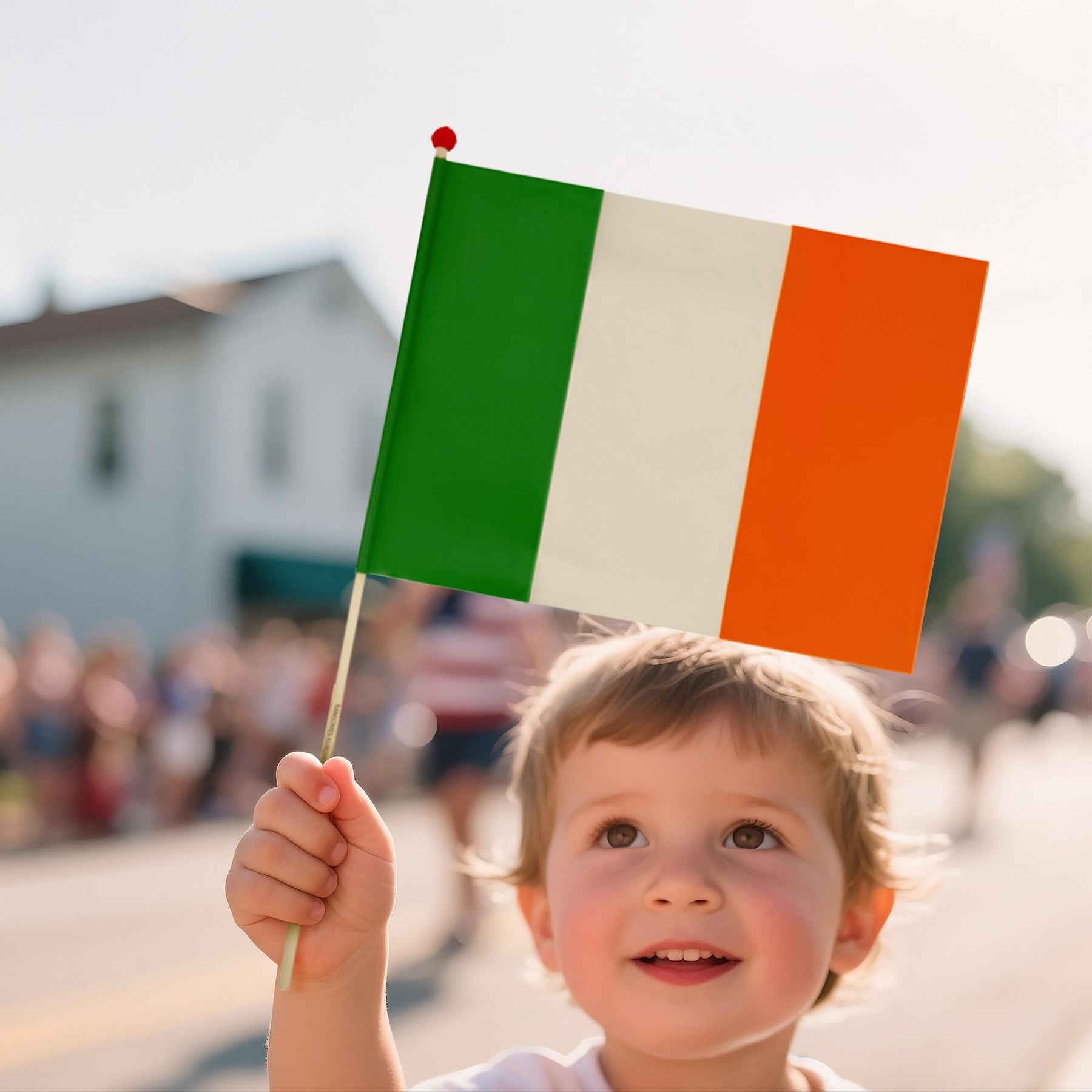 Ireland Hand Flag Costume Accessory
