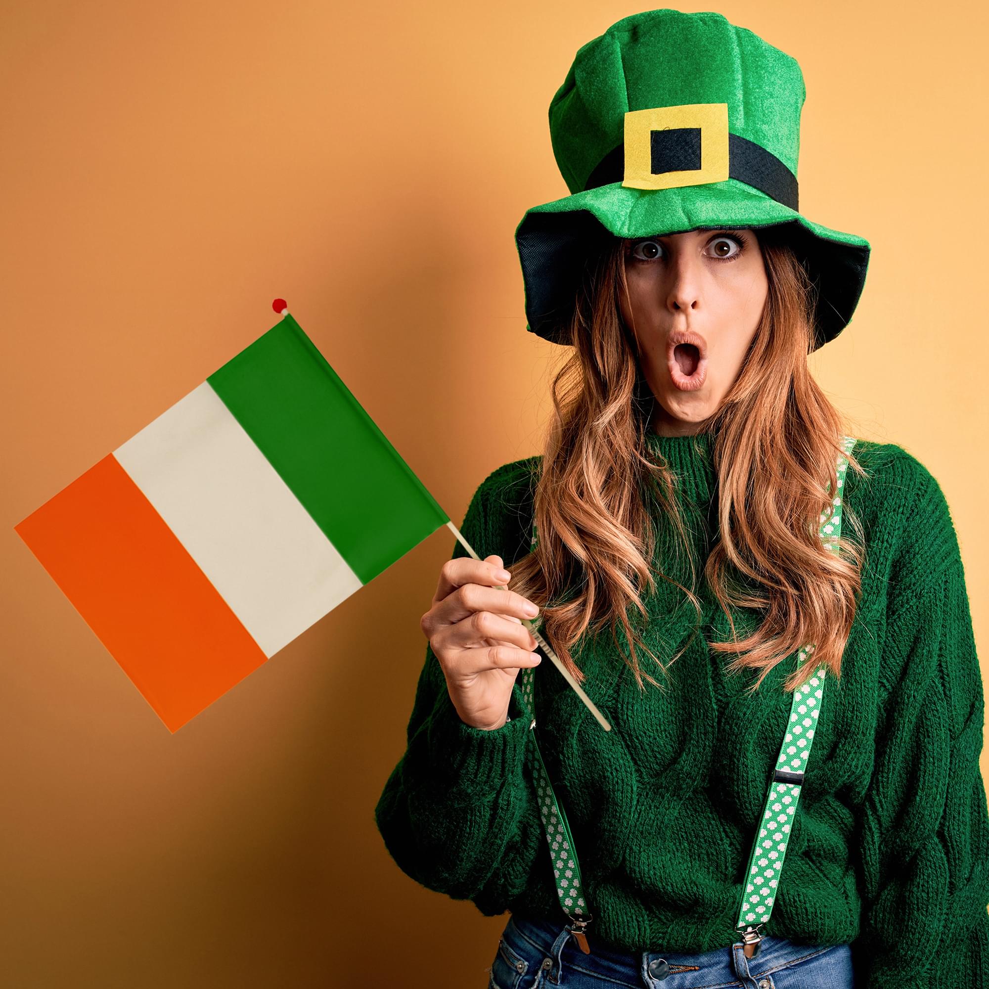 Ireland Hand Flag Costume Accessory