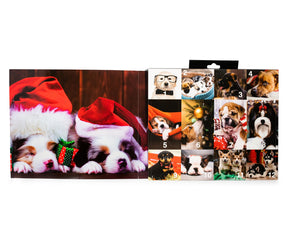 Unleash the Holiday Cheer Womens 12 Days of Socks in Advent Gift Box