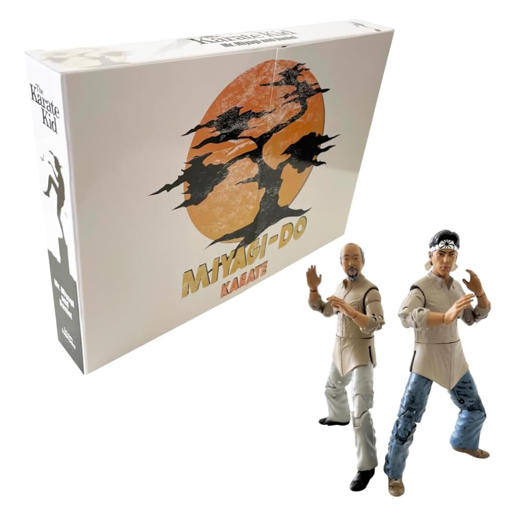 The Karate Kid Daniel and Miyagi Training Action Figure Set