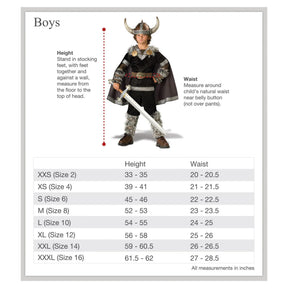 Loyal Knight Deluxe Child Costume