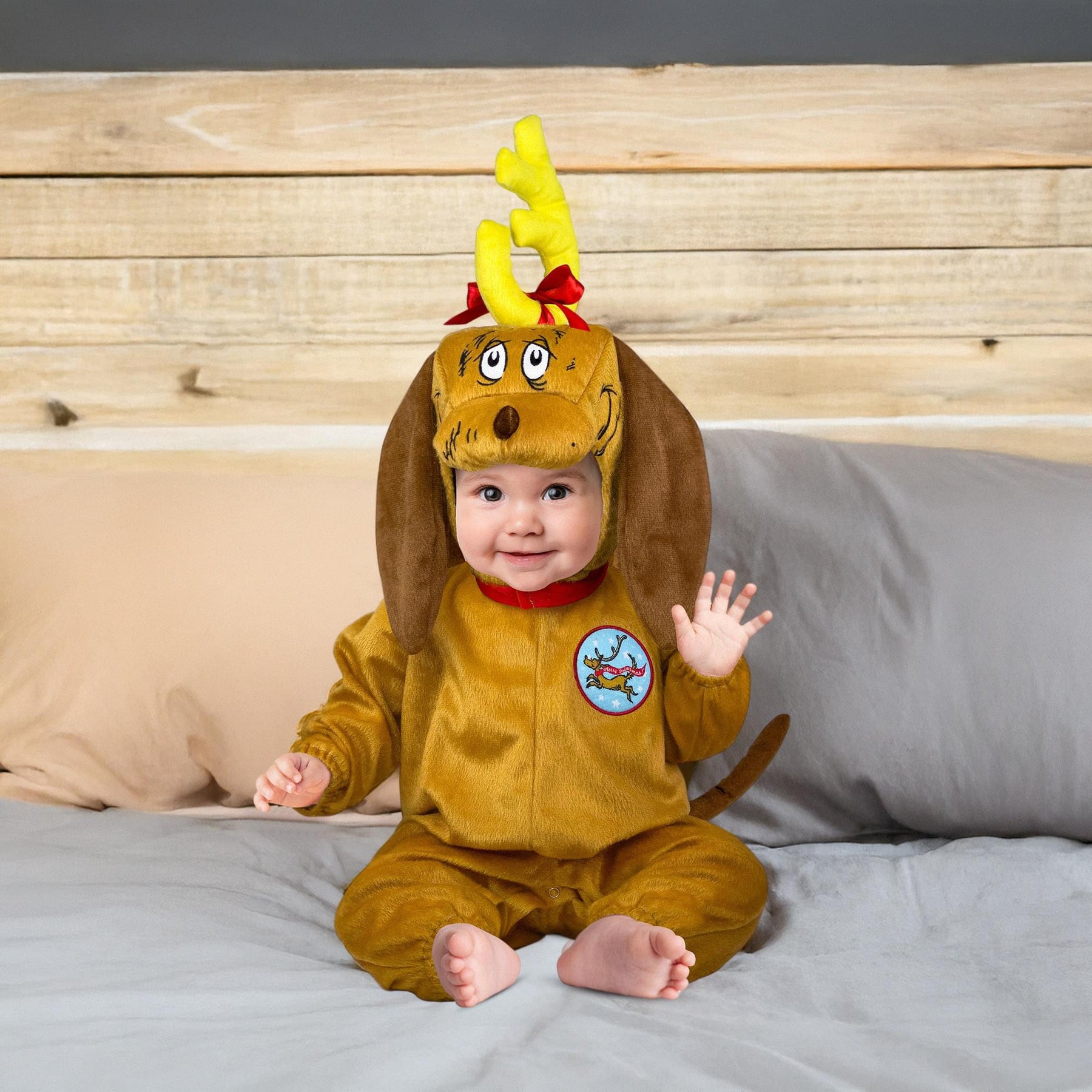 Dr Seuss Cat In The Hat Max Infant Costume