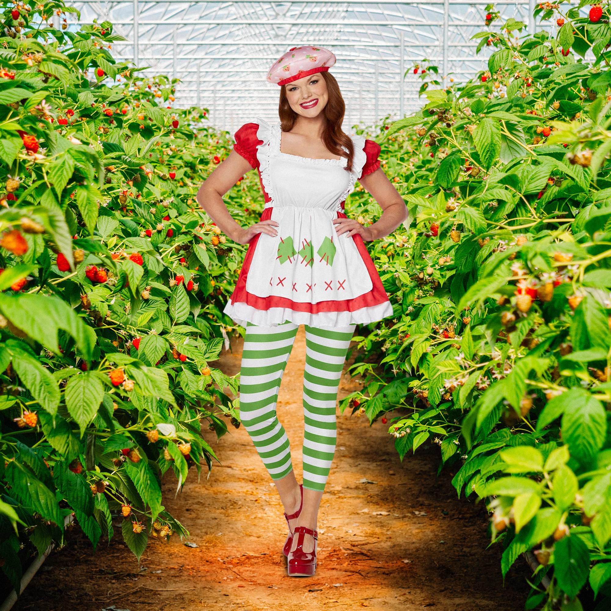 Strawberry Shortcake Adult Costume