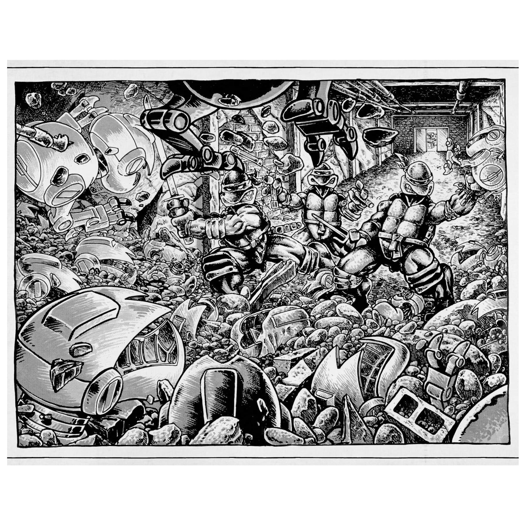 Teenage Mutant Ninja Turtles Hardcover Ruled Journal | 192 Pages