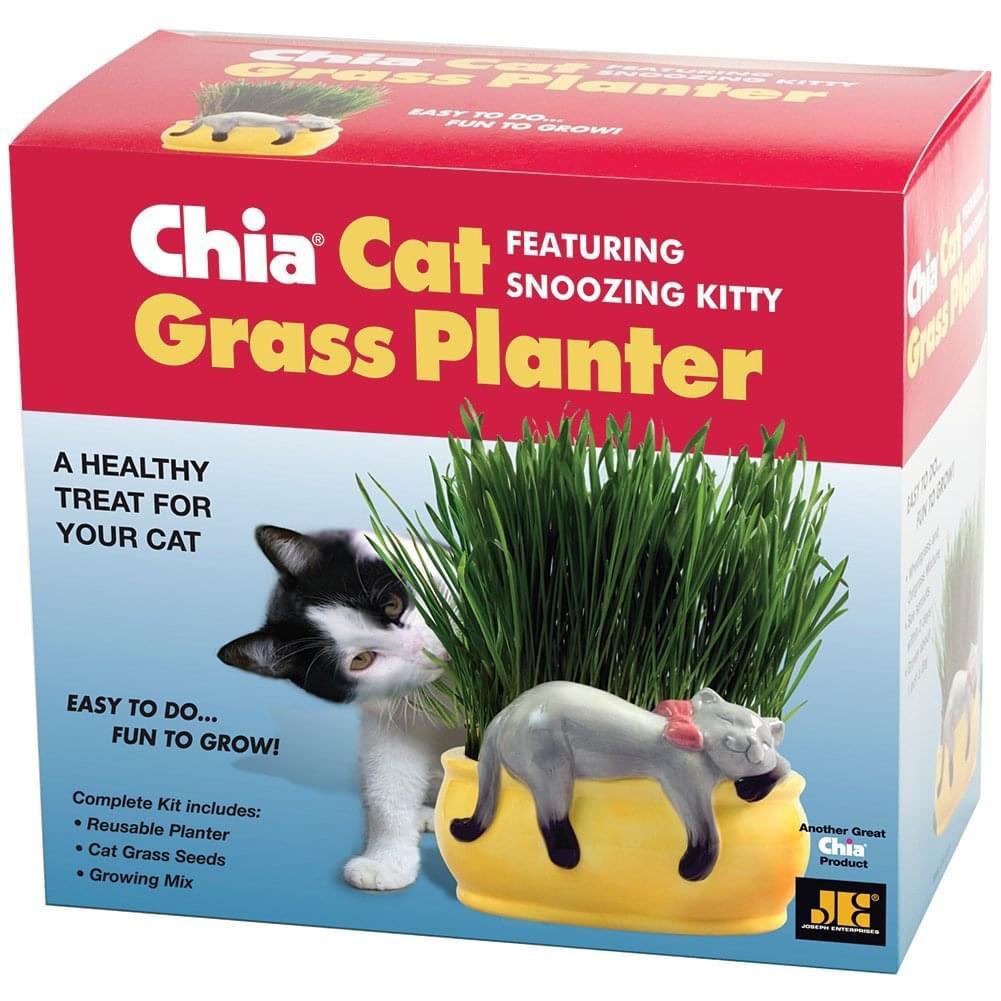 Chia Pet Grass Planter: Snoozy Cat