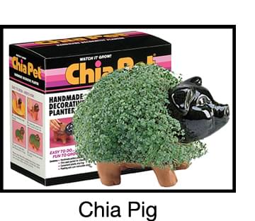 Chia Pet Grass Planter: Pig