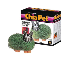 Chia Pet Grass Planter: Bunny