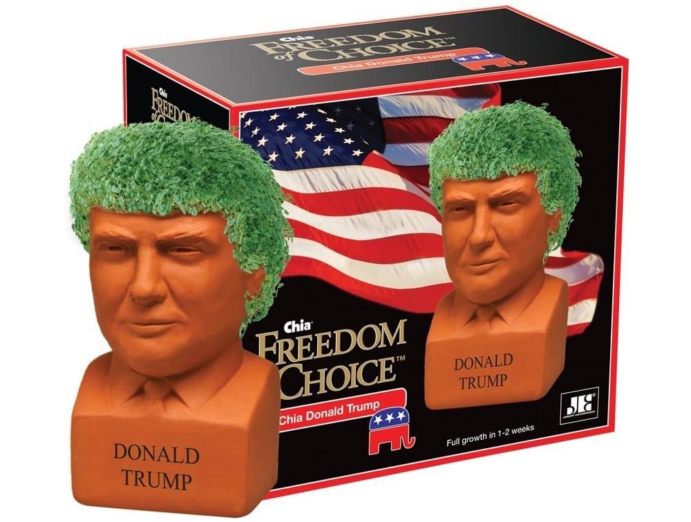 Chia Pet Grass Planter: Donald Trump, Freedom of Choice