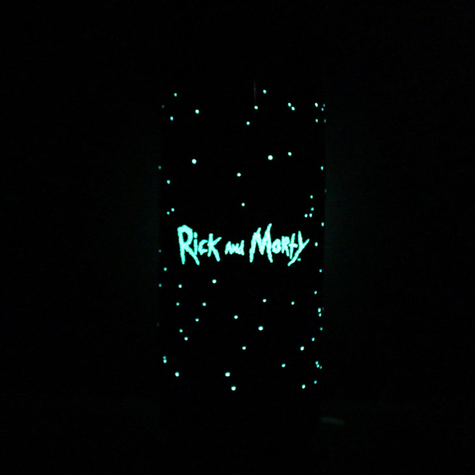Rick and Morty 20 oz Stainless Steel Glow in The Dark Water Bottle
