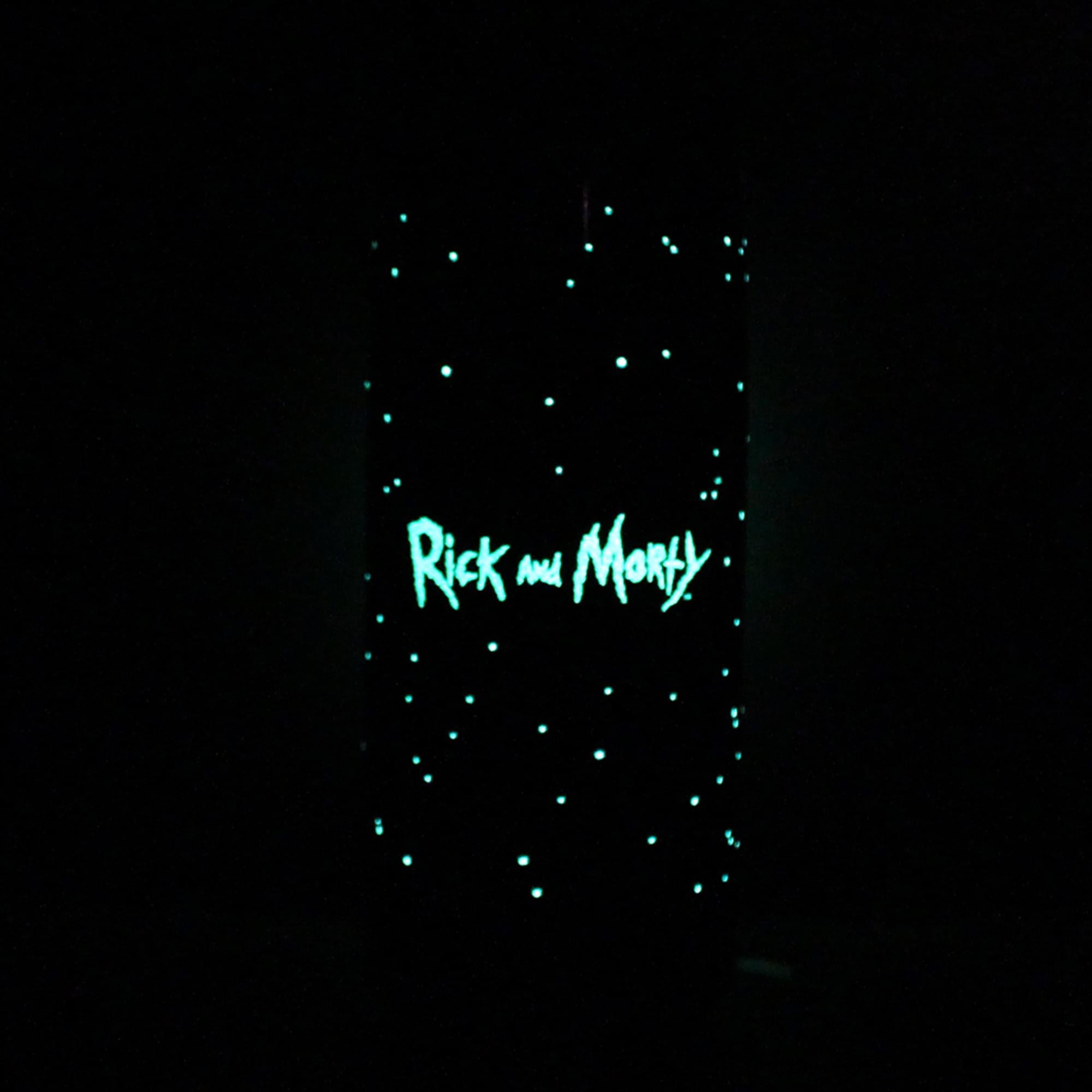 Rick and Morty 20 oz Stainless Steel Glow in The Dark Water Bottle