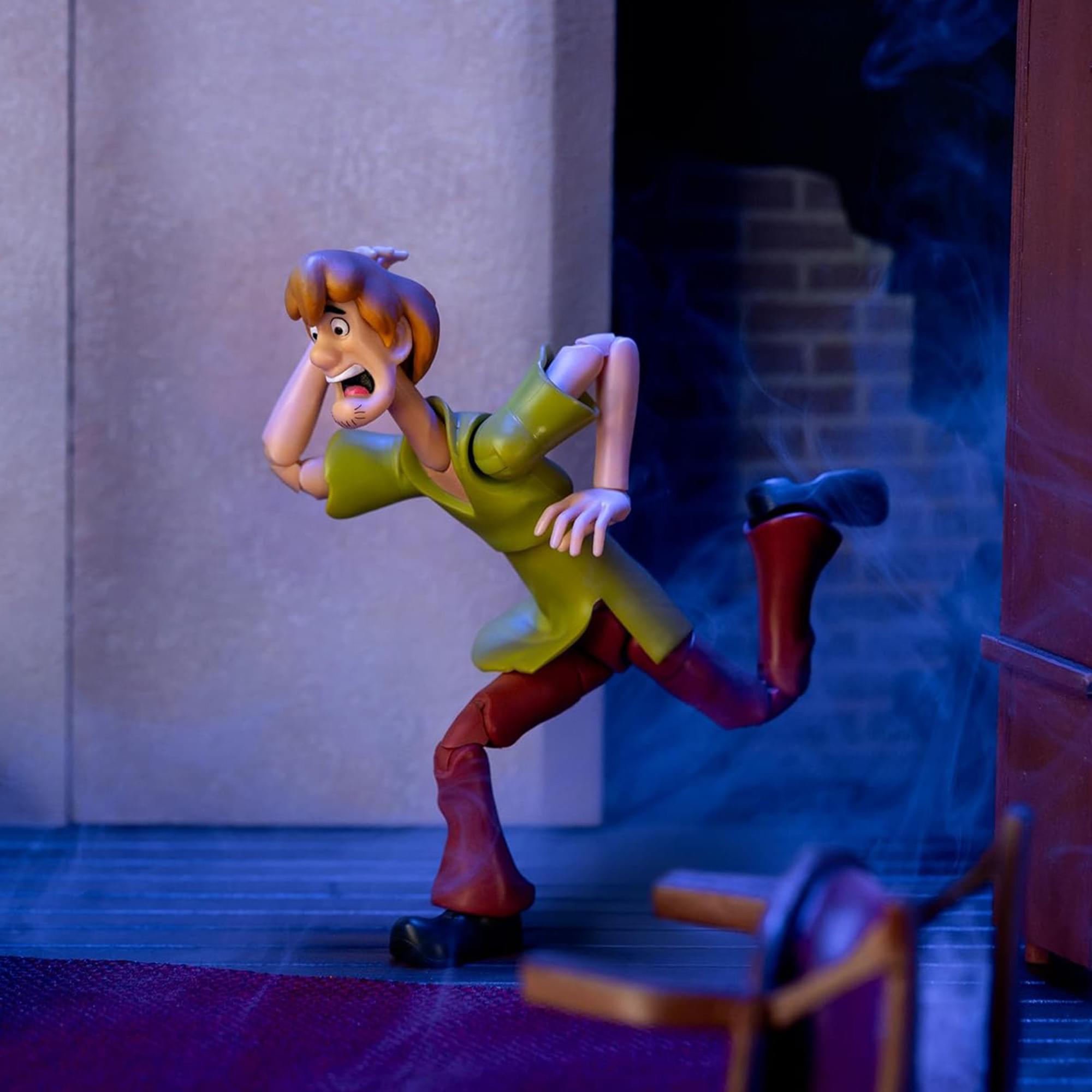 Scooby-Doo 6 Inch Action Figure | Shaggy