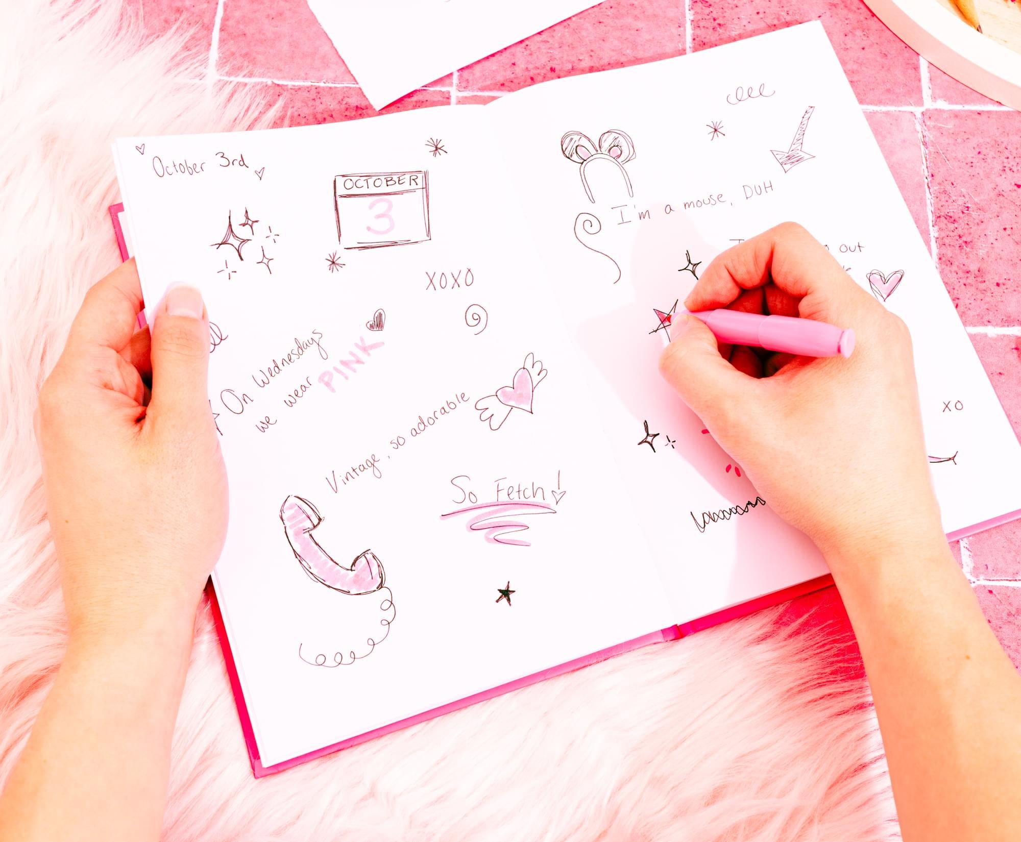 Mean Girls Burn Book Hardback Journal