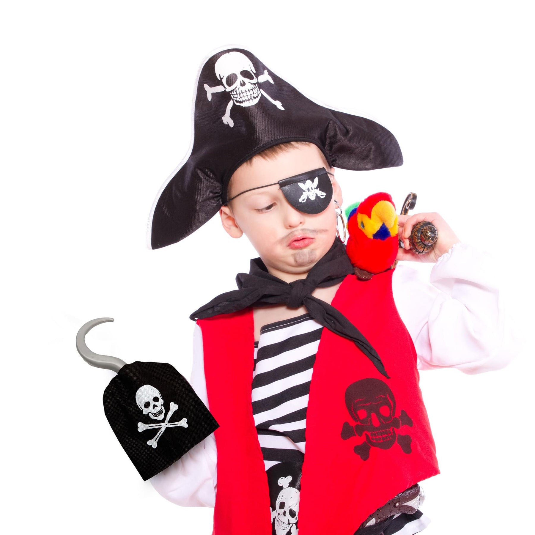 Pirate Adventure Adult Costume Accessory Set