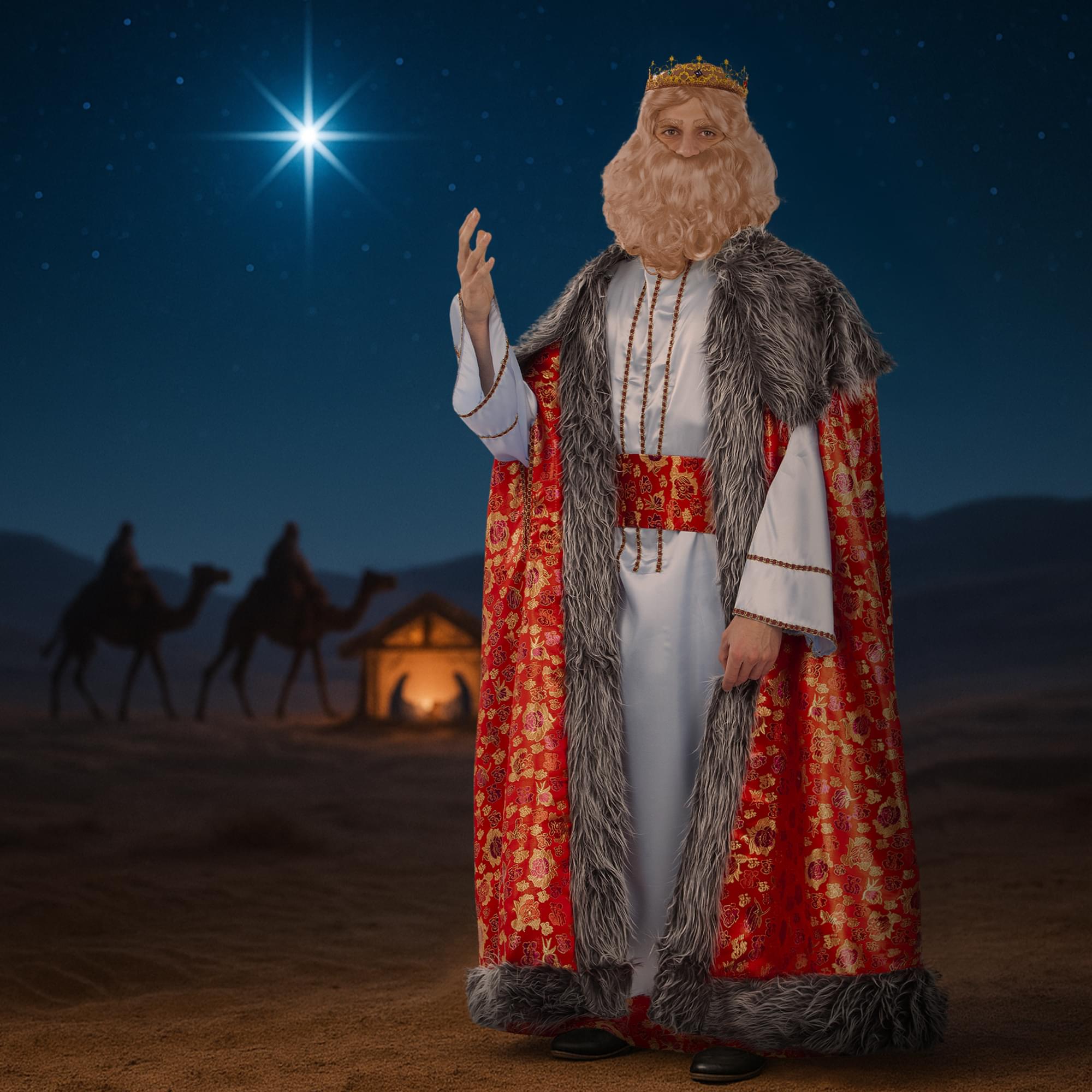 Wise Man King Melchior Brocade Adult Costume | Standard