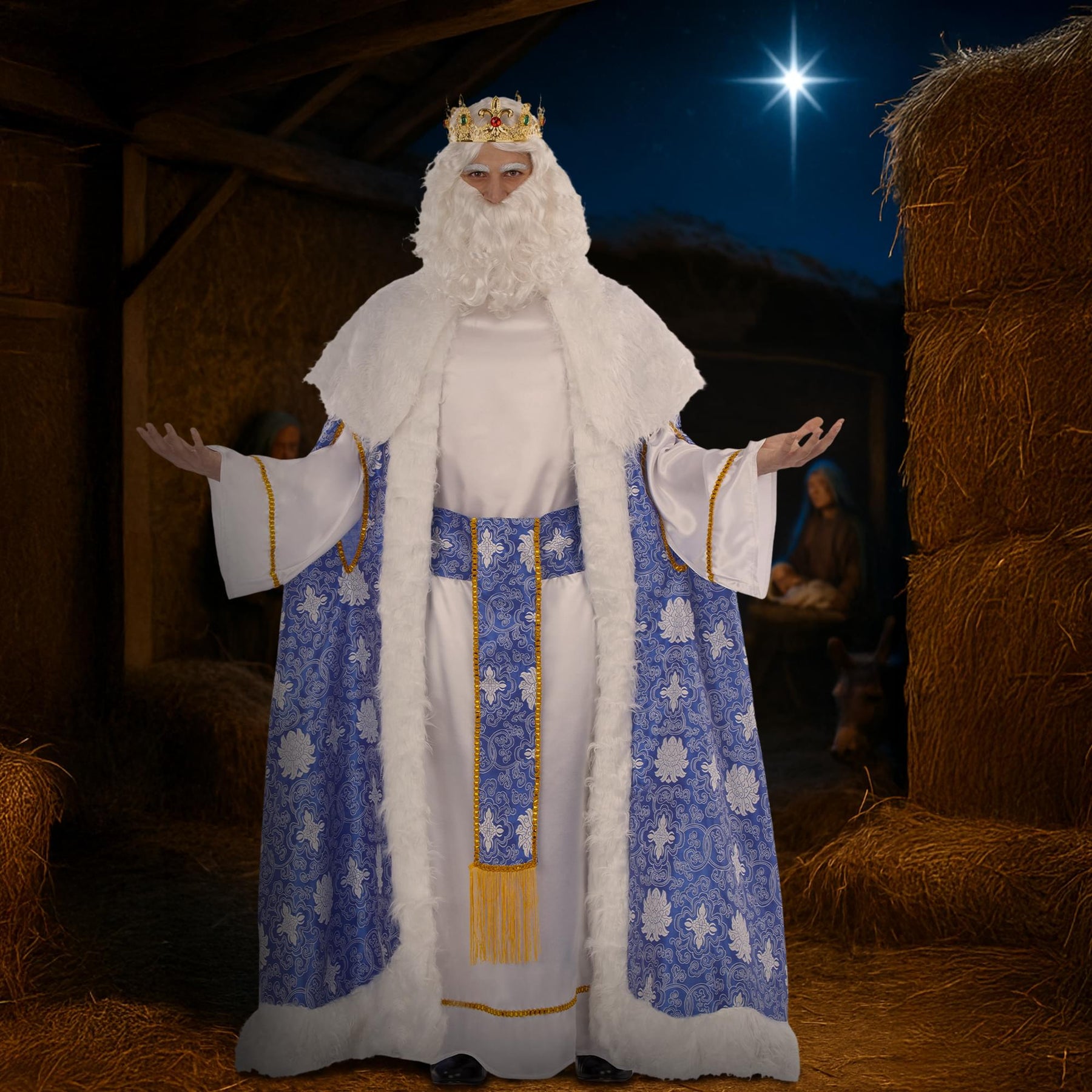 Wise Man King Caspar Brocade Adult Costume | Standard