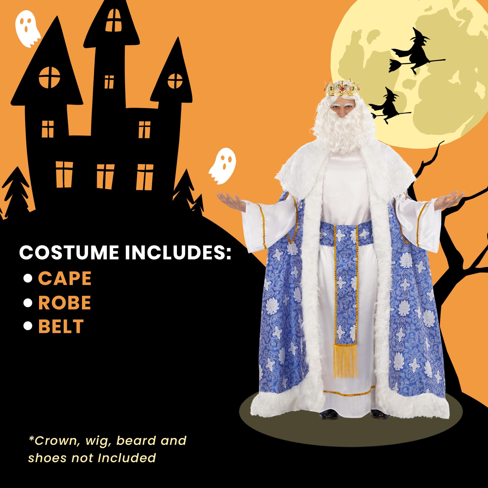 Wise Man King Caspar Brocade Adult Costume | Standard