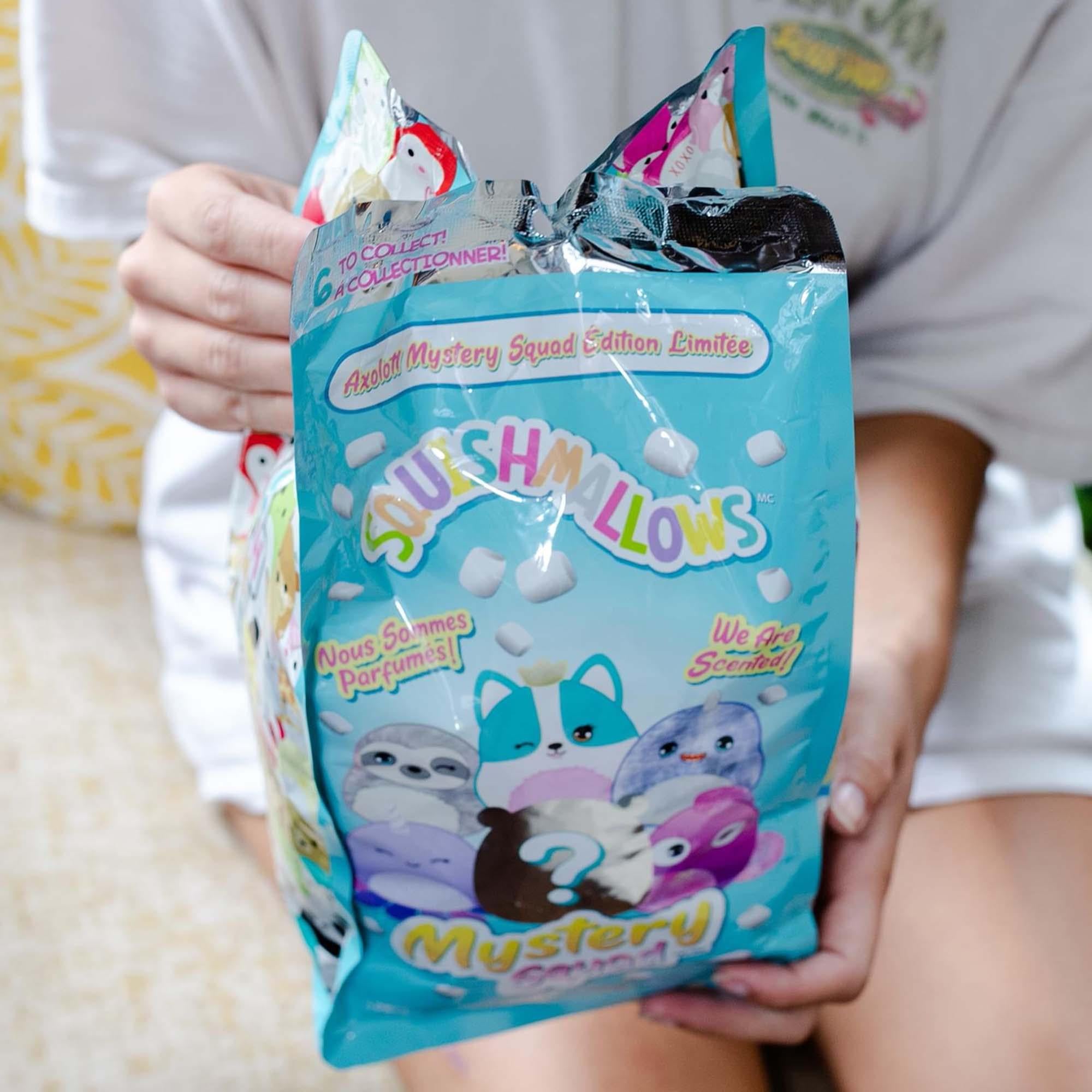 Squishmallow 8 Inch Scented Mystery Squad Blind Bag Plush | One Random