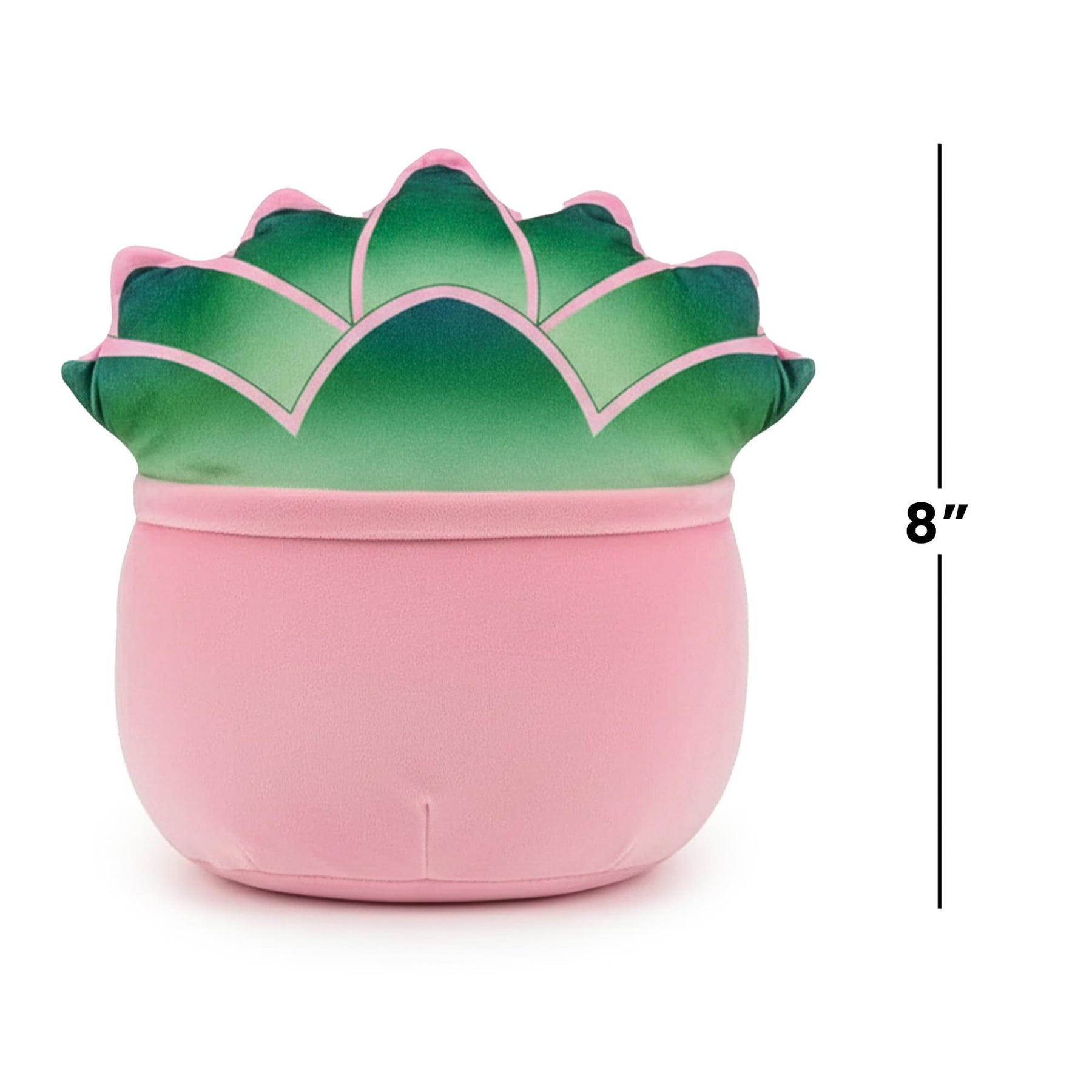 succulents squishmallows Squishmallows 8 Inch Plush | Afiyah The Succulent
