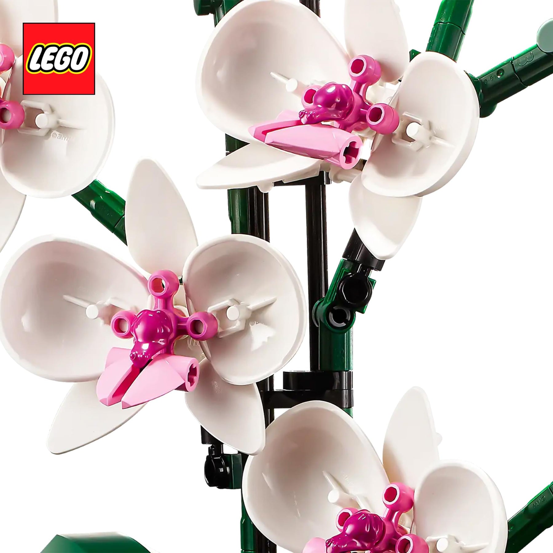 LEGO Botanicals 10311 Orchid 608-Piece Building Set