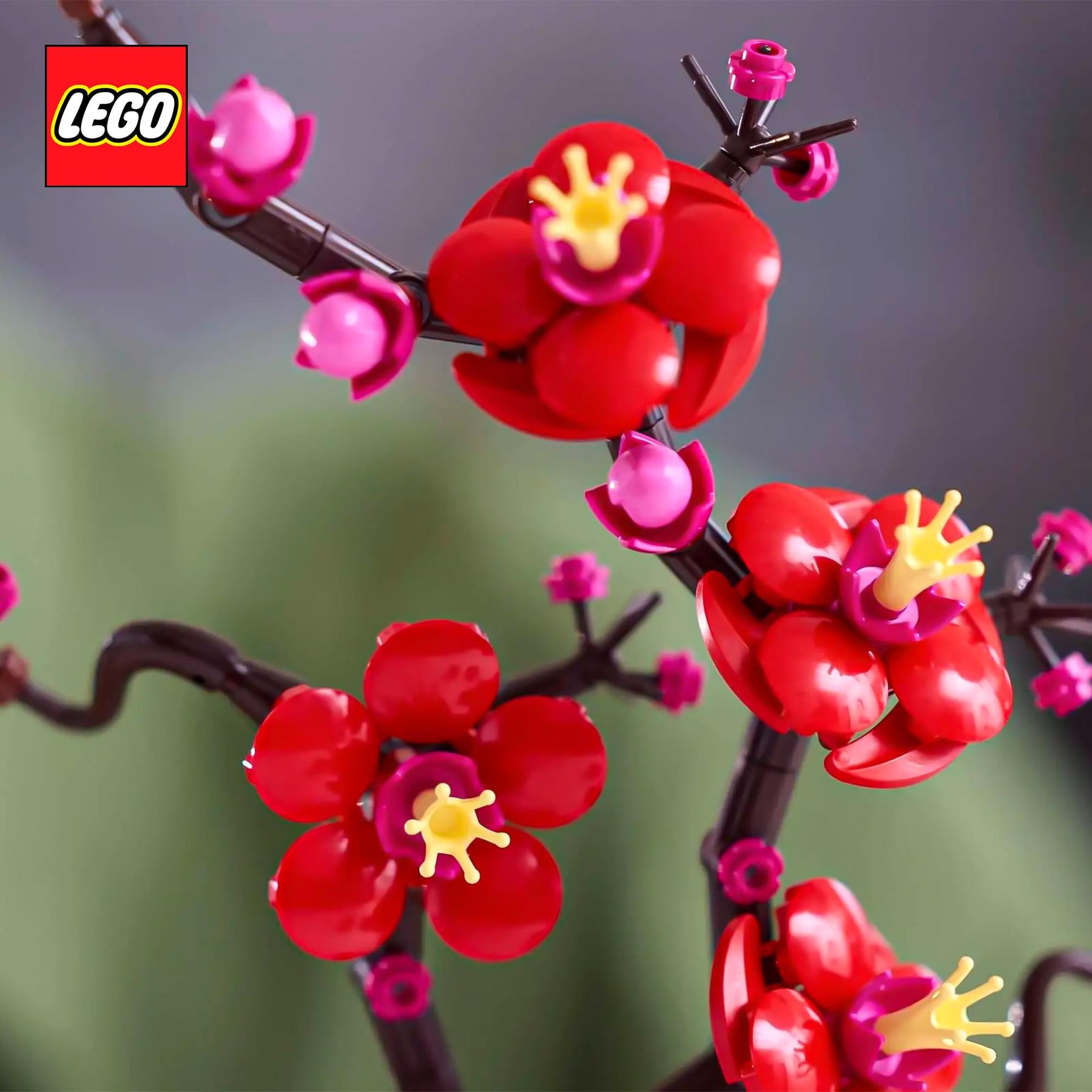 LEGO Botanicals 10369 Plum Blossom Flower 327-Piece Building Set