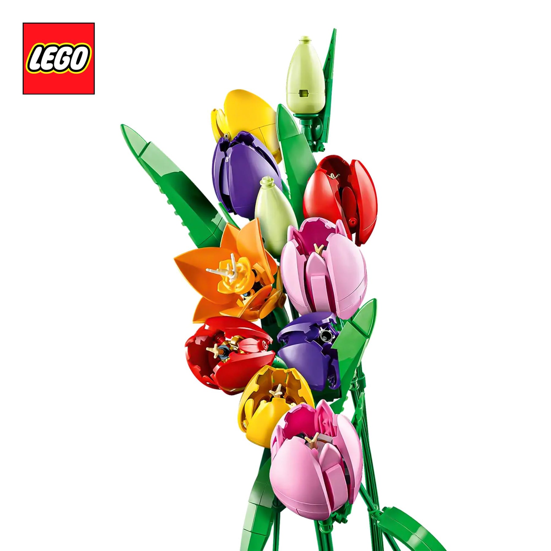 LEGO Botanicals 11501 Tulip Bouquet 576-Piece Building Set