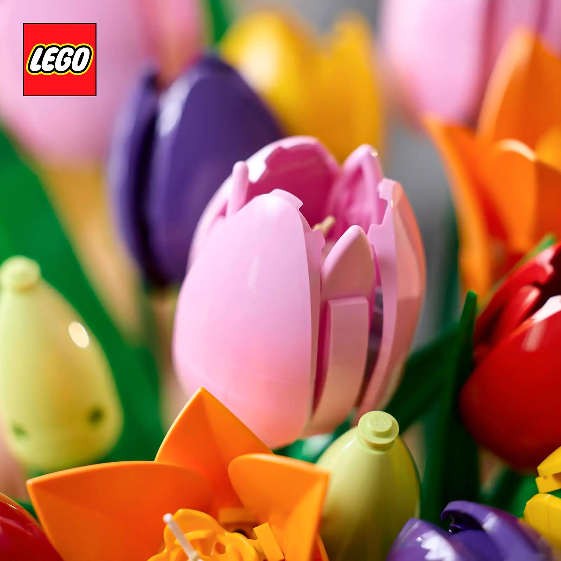 LEGO Botanicals 11501 Tulip Bouquet 576-Piece Building Set