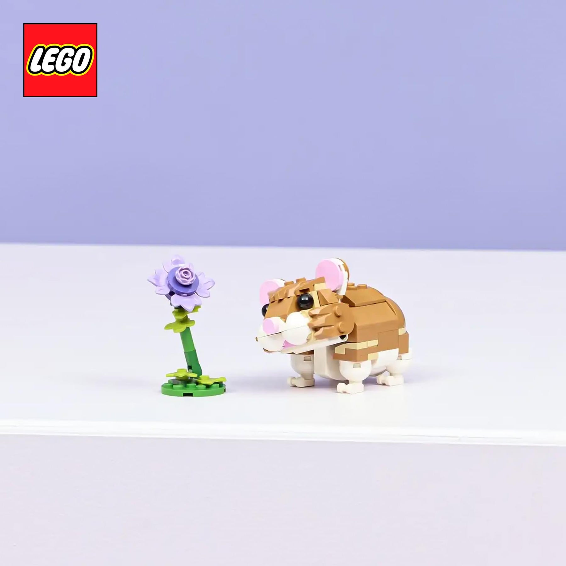 LEGO Creator 3 In 1 31376 Hamster With Flower 166-Piece Building Set
