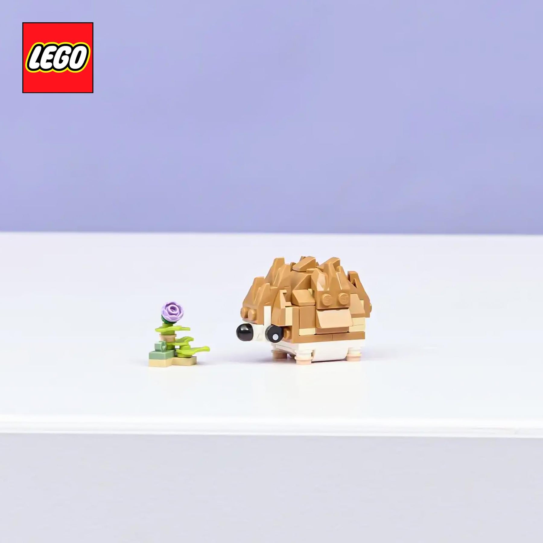 LEGO Creator 3 In 1 31376 Hamster With Flower 166-Piece Building Set