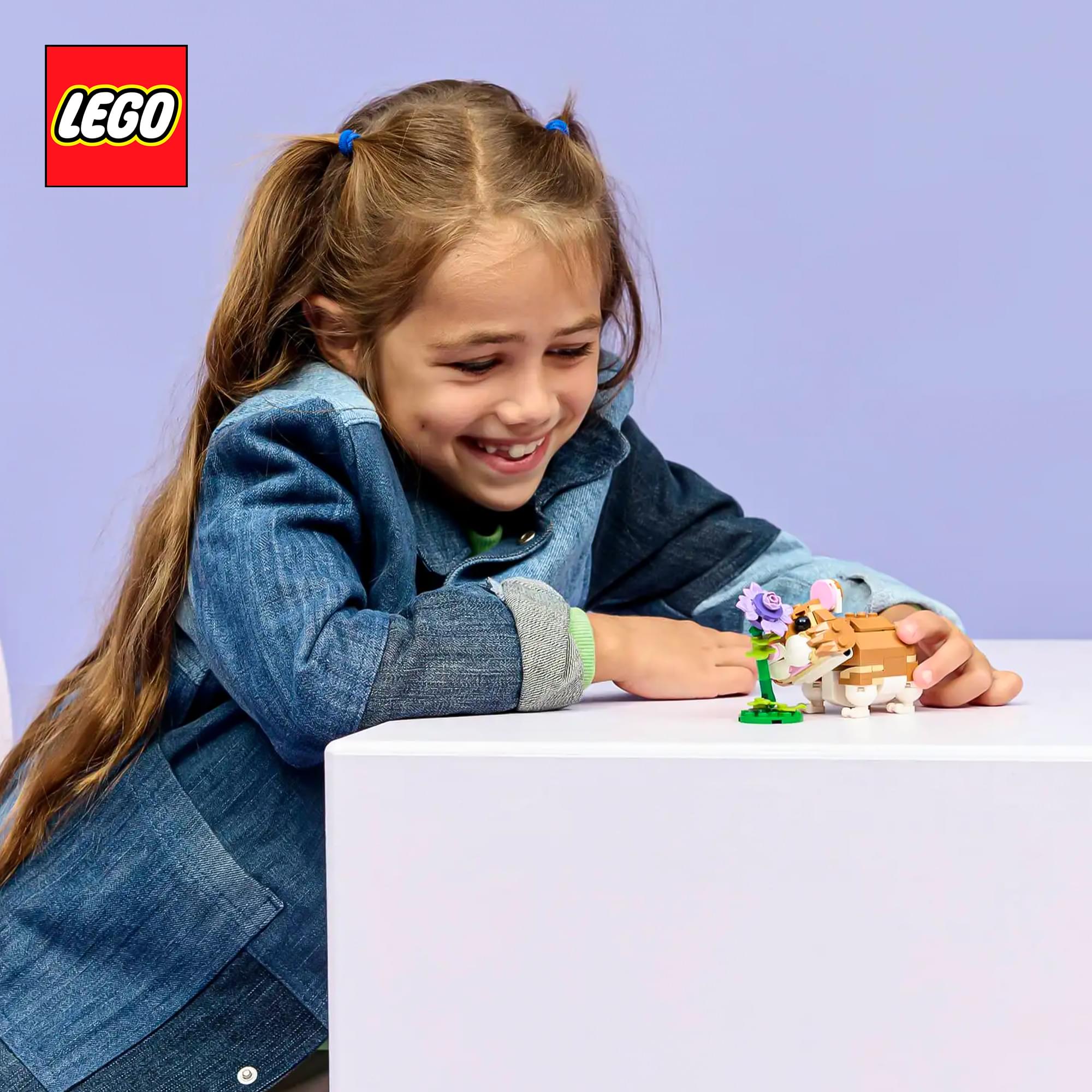 LEGO Creator 3 In 1 31376 Hamster With Flower 166-Piece Building Set