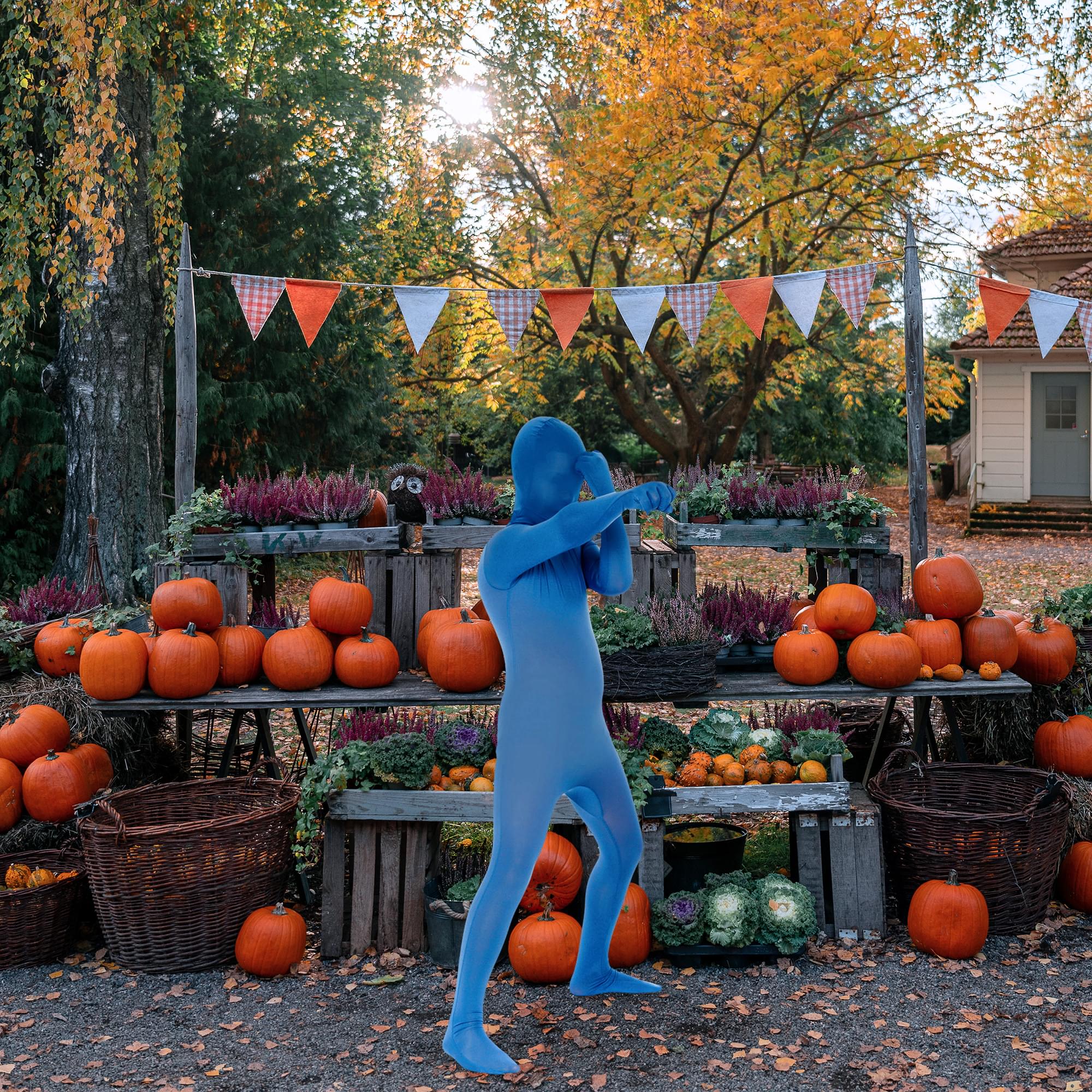 Blue Child Costume Morphsuit