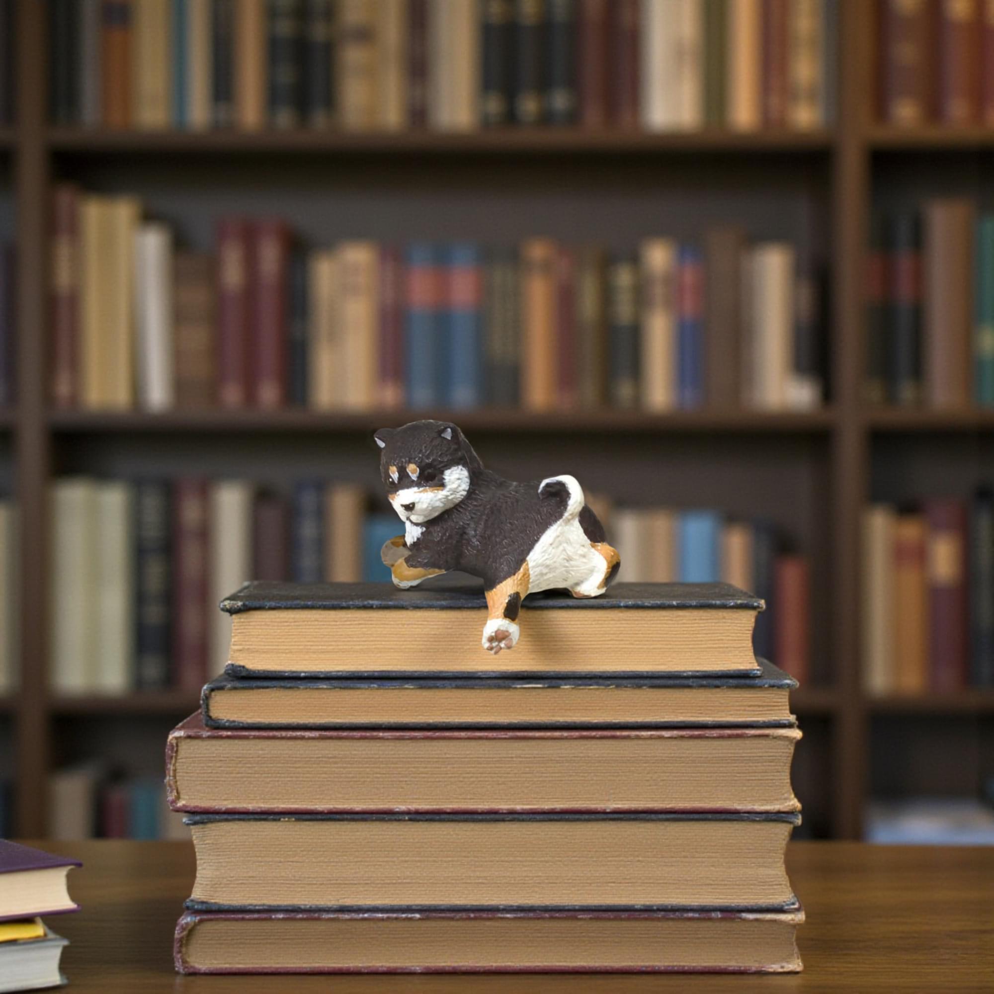Playful Hanging Shiba Inu Blind Box Mini Figure | One Random