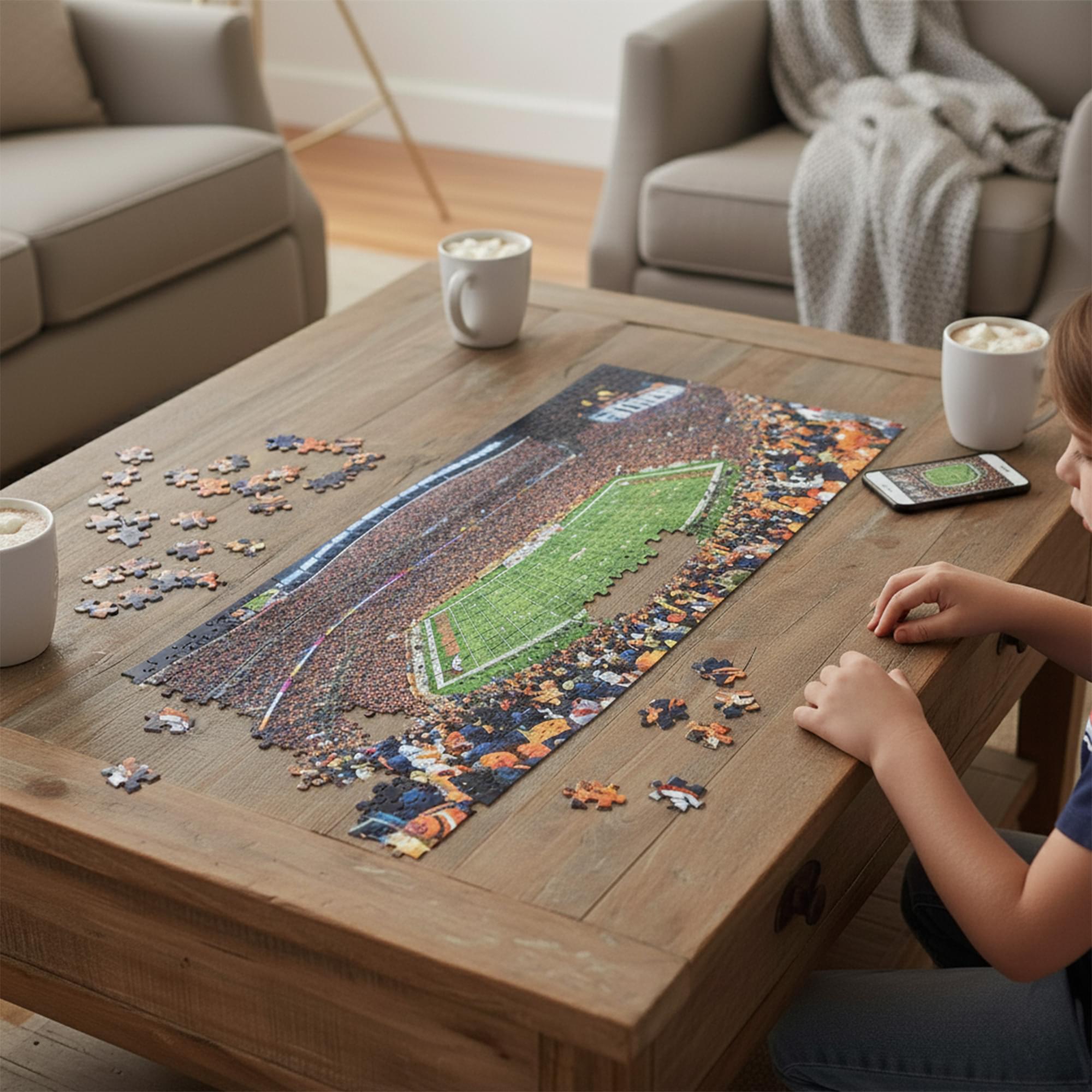 Denver Broncos Stadium NFL 1000 Piece Panoramic Jigsaw Puzzle