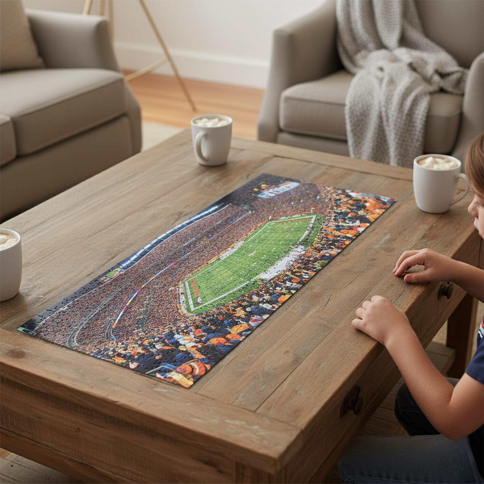 Denver Broncos Stadium NFL 1000 Piece Panoramic Jigsaw Puzzle