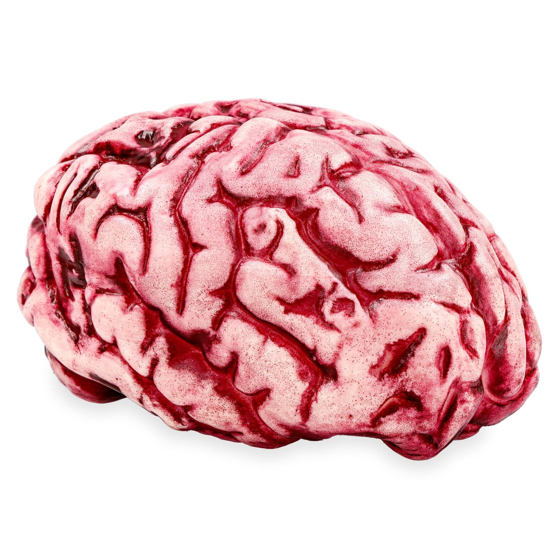 Butcher Shop Bloody Brain Plastic Halloween Prop