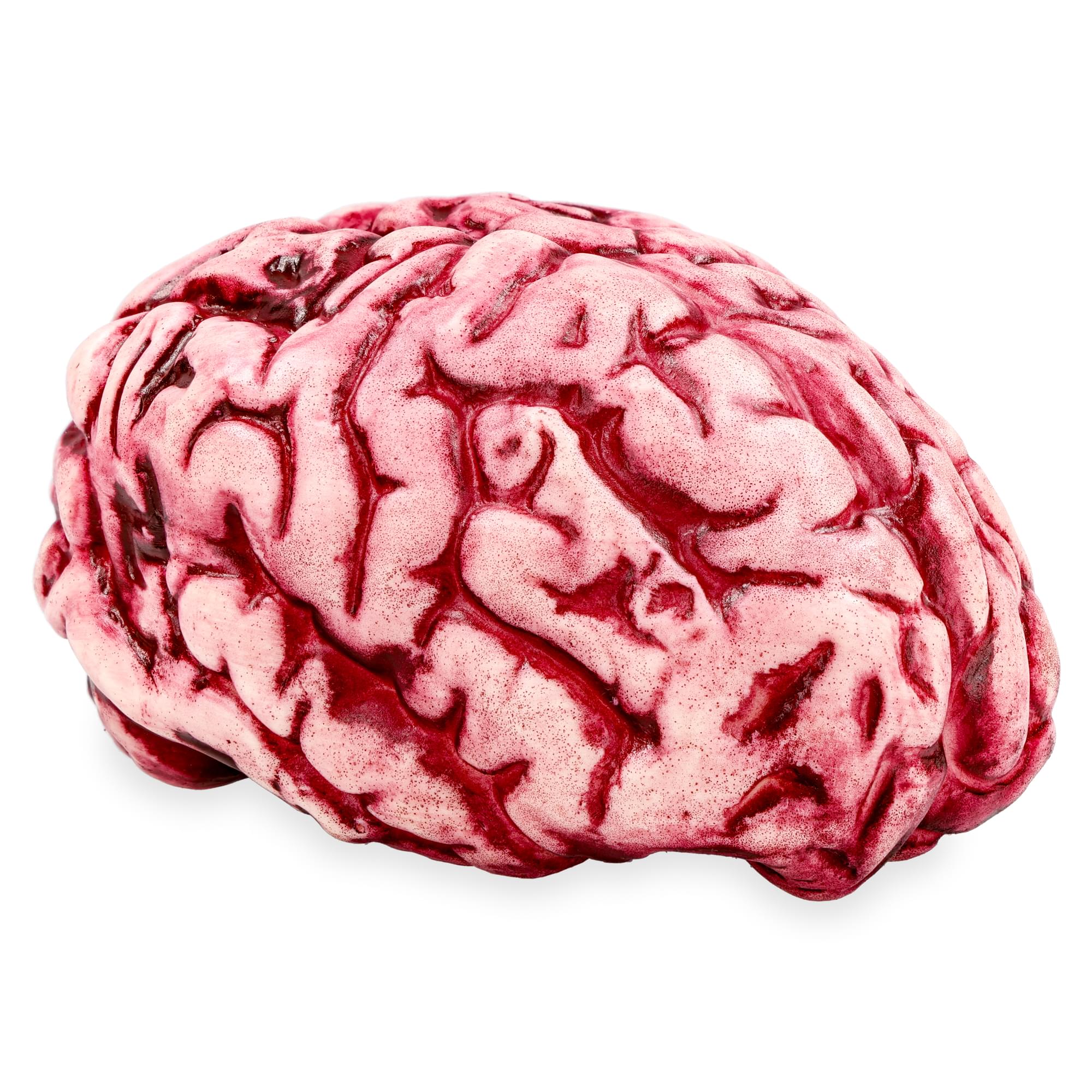 Butcher Shop Bloody Brain Plastic Halloween Prop