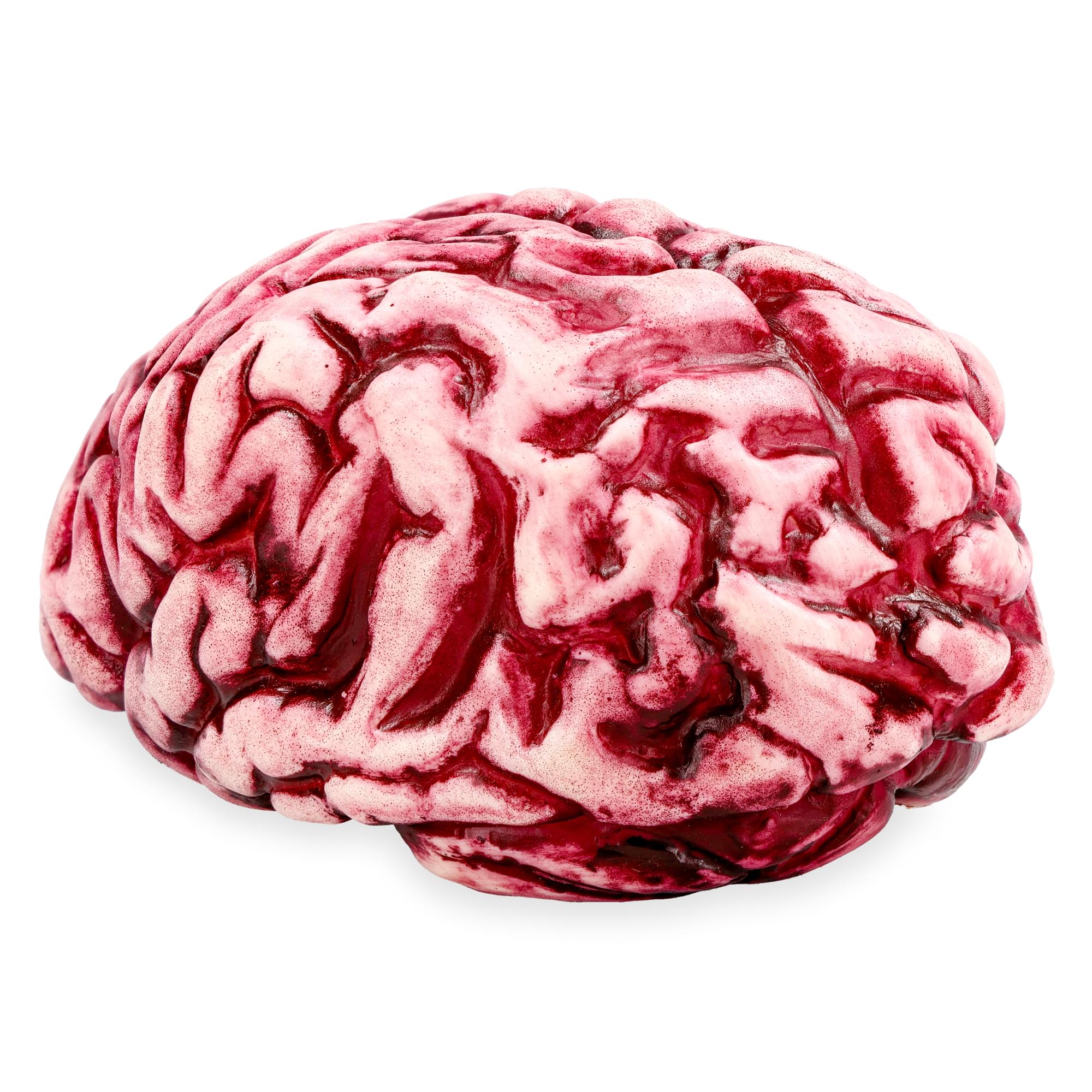 Butcher Shop Bloody Brain Plastic Halloween Prop