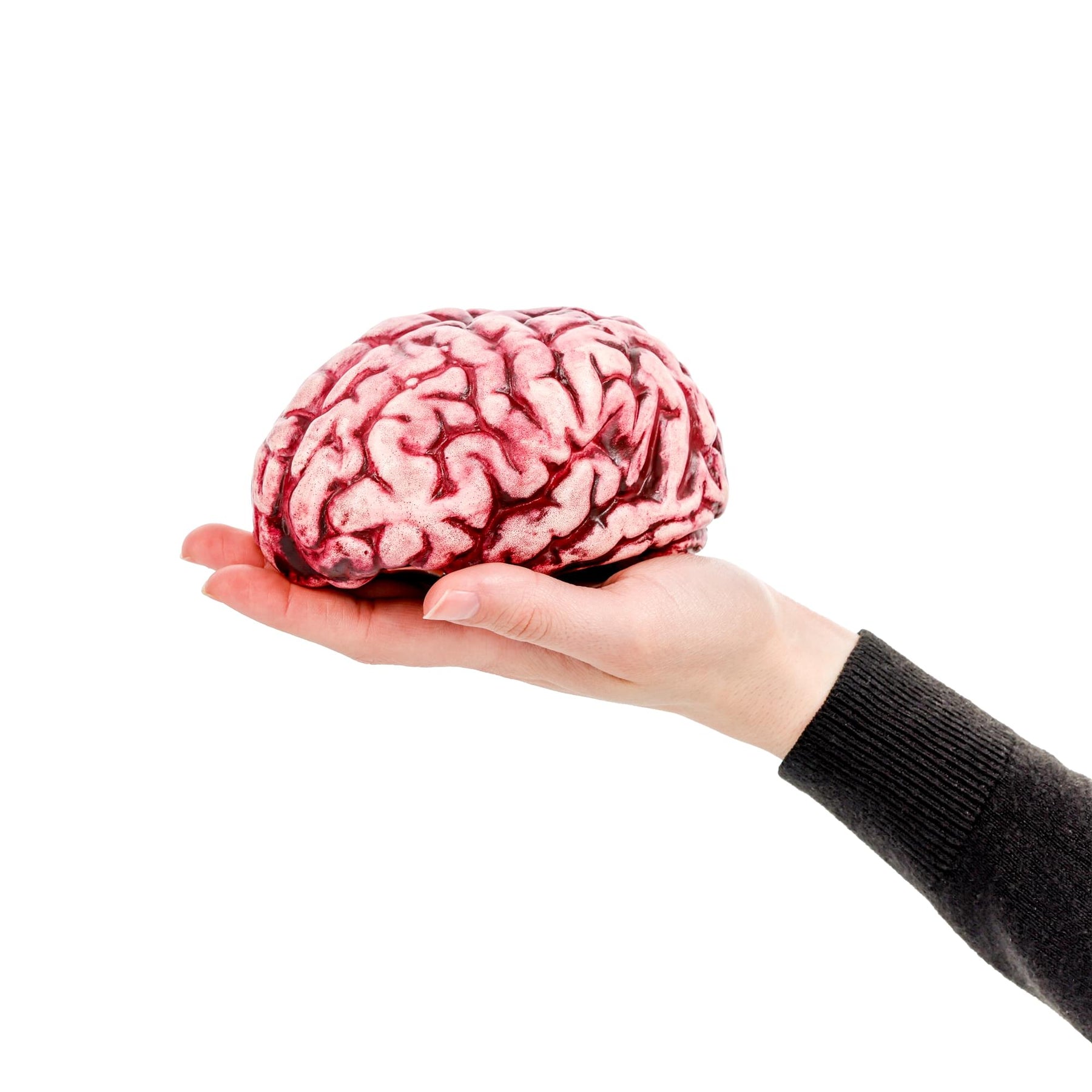 Butcher Shop Bloody Brain Plastic Halloween Prop