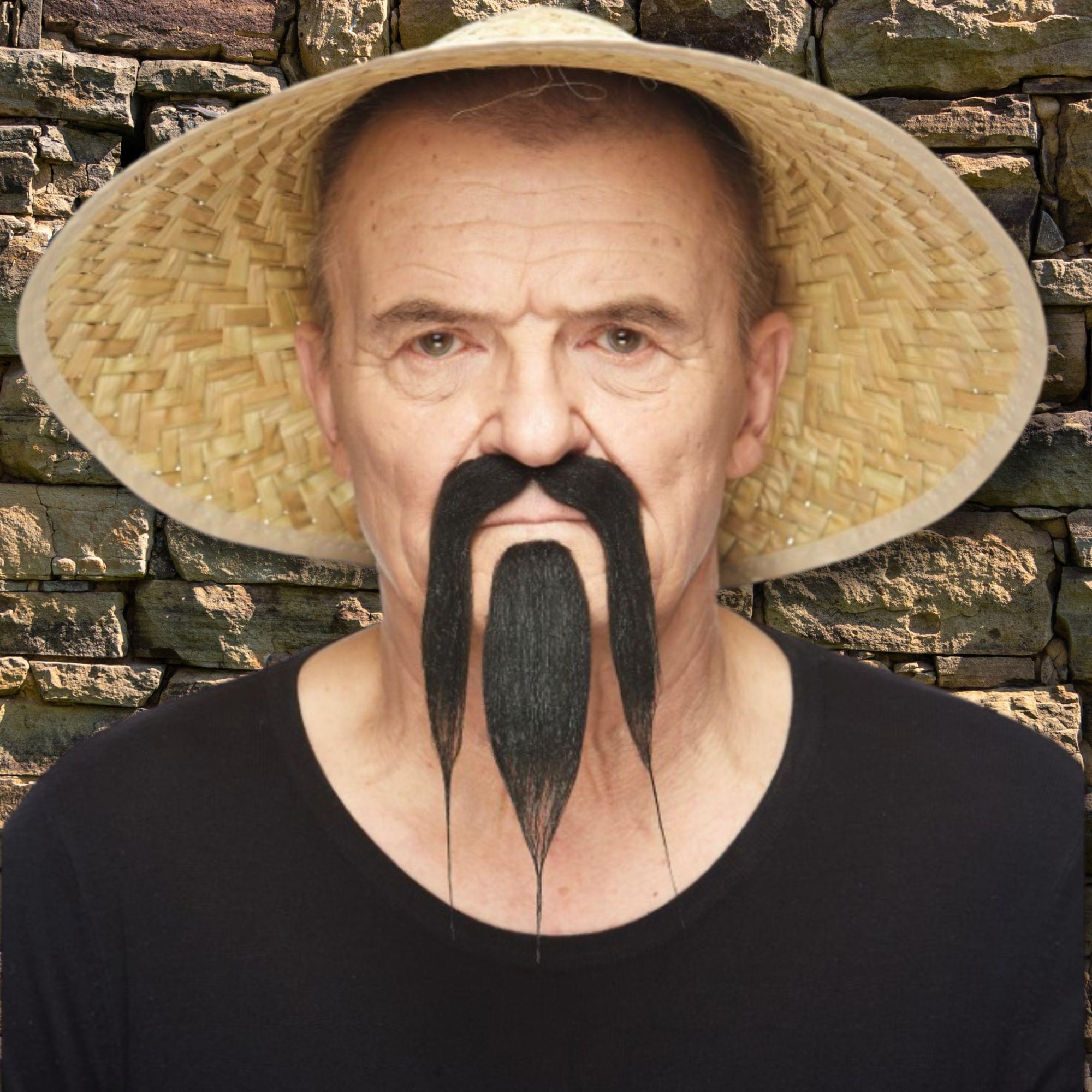 Long Chinese Black Beard & Moustache Adult Costume Accessory Set