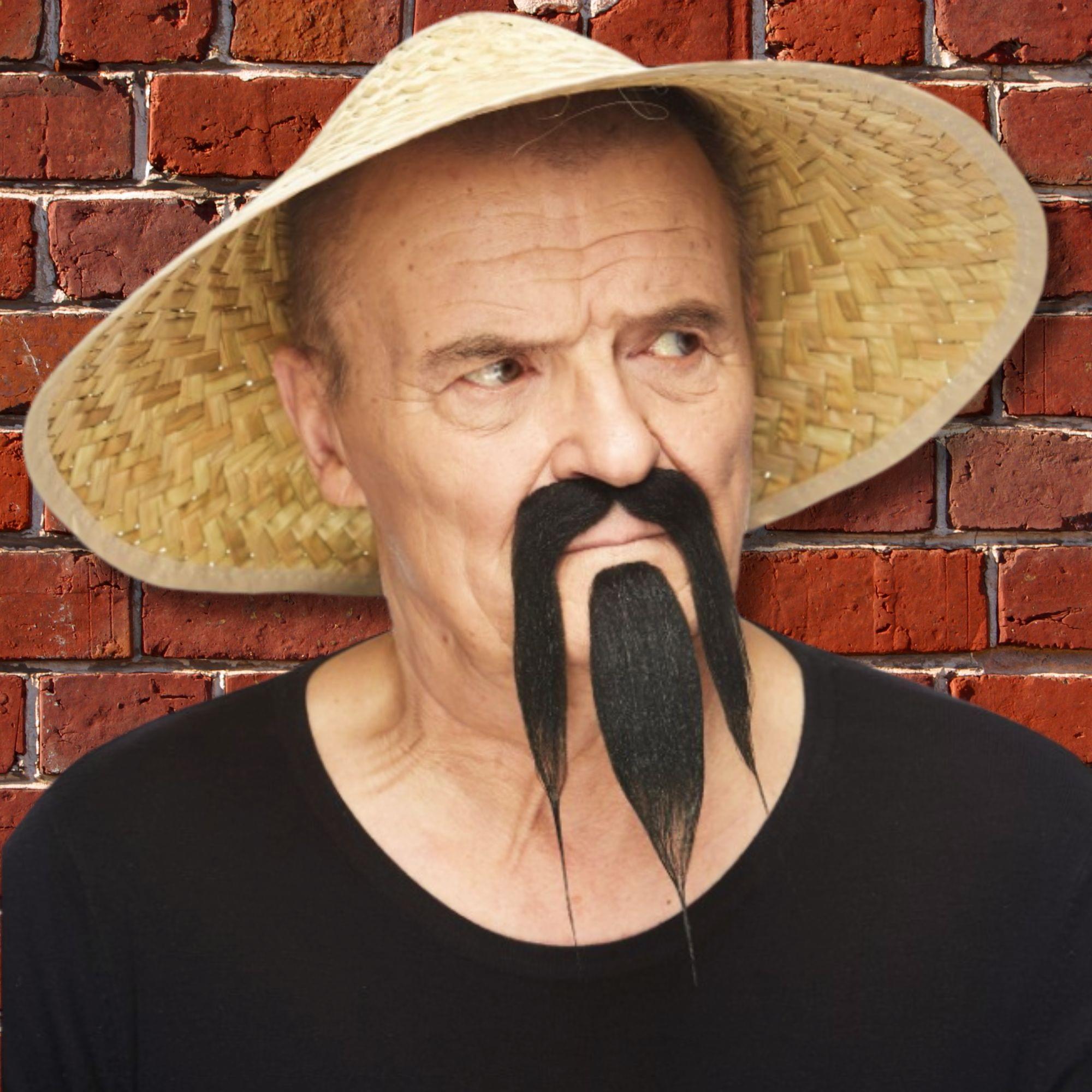 Long Chinese Black Beard & Moustache Adult Costume Accessory Set