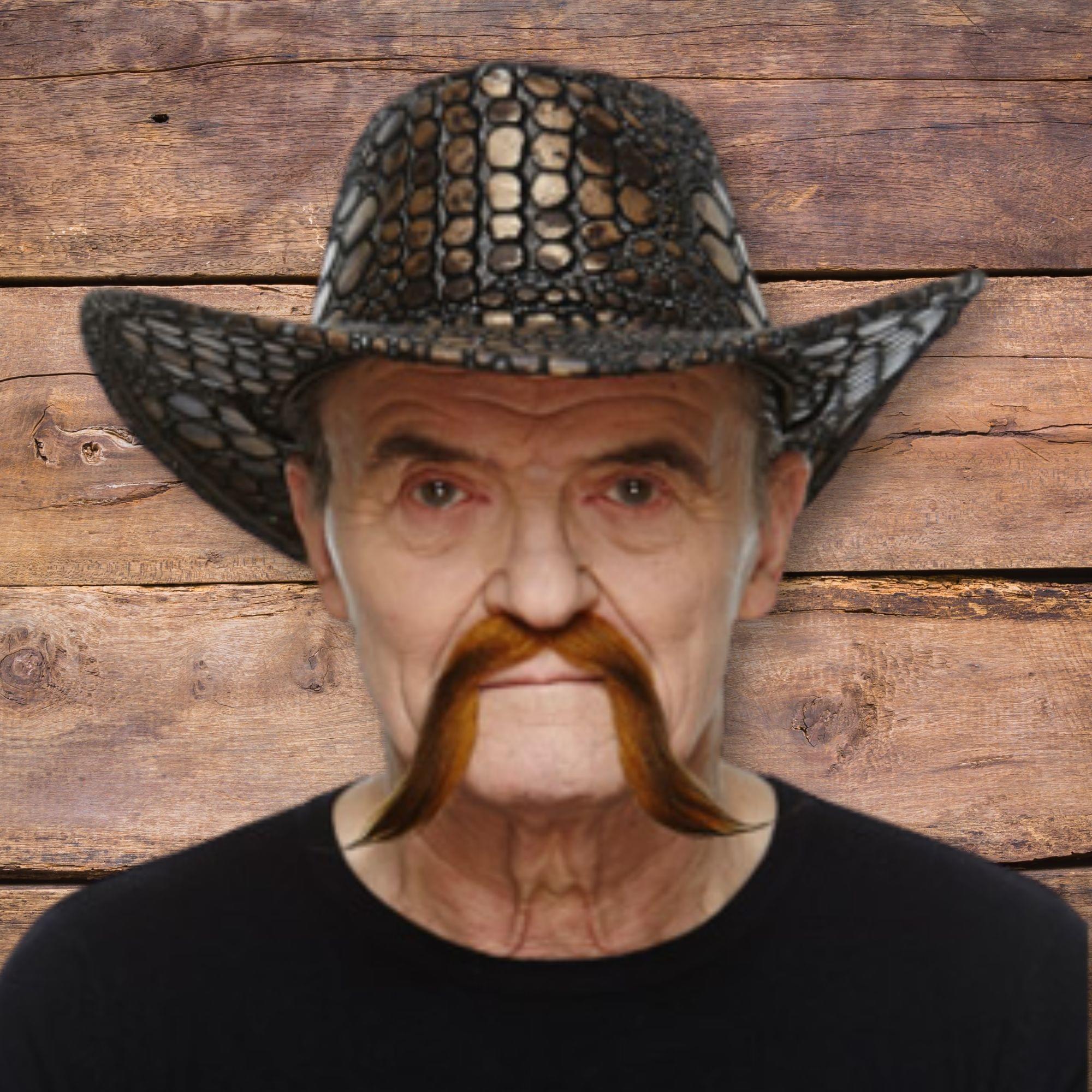 Western Fella Brown Moustache Adult Costume Accessory