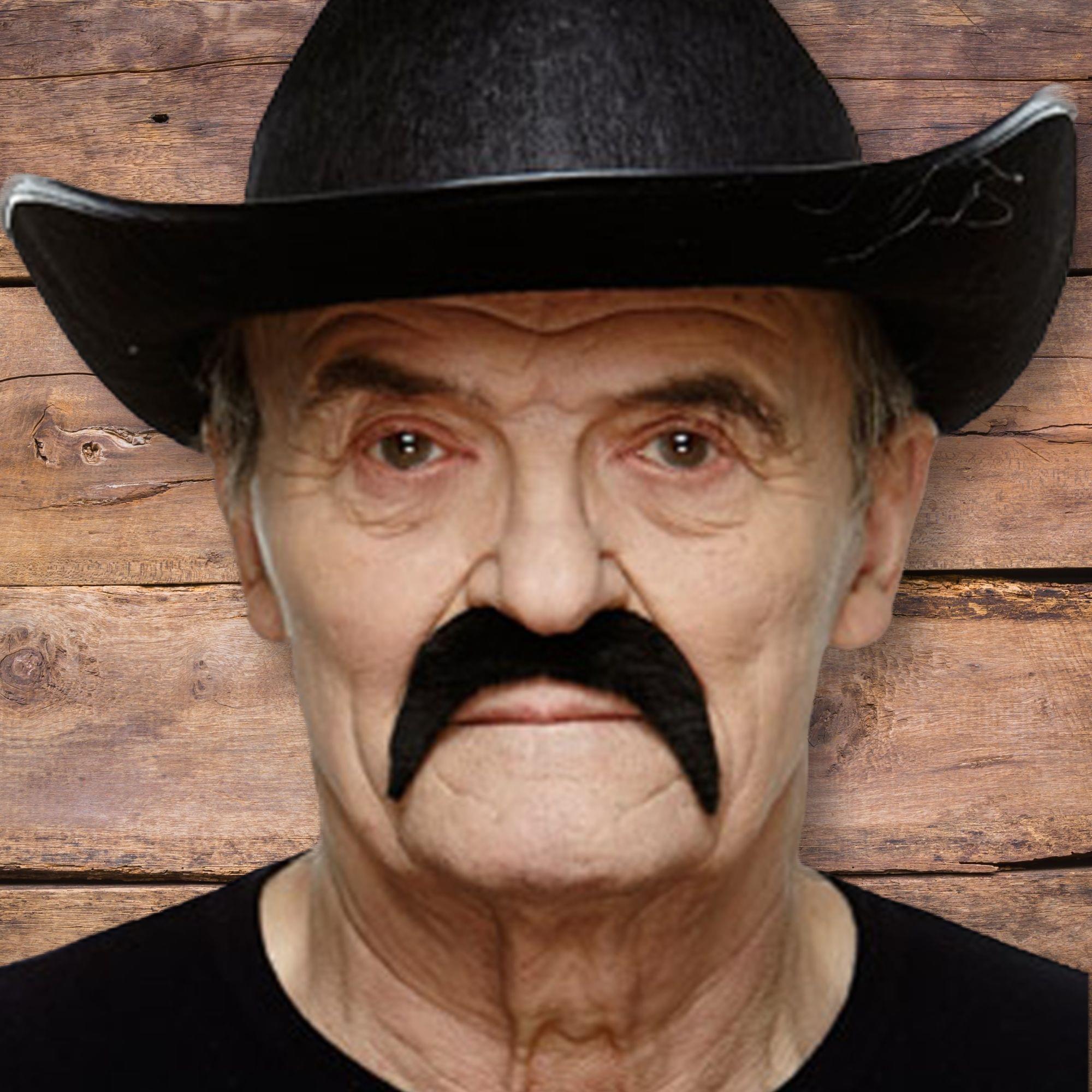 70's Black Moustache Adult Costume Accessory