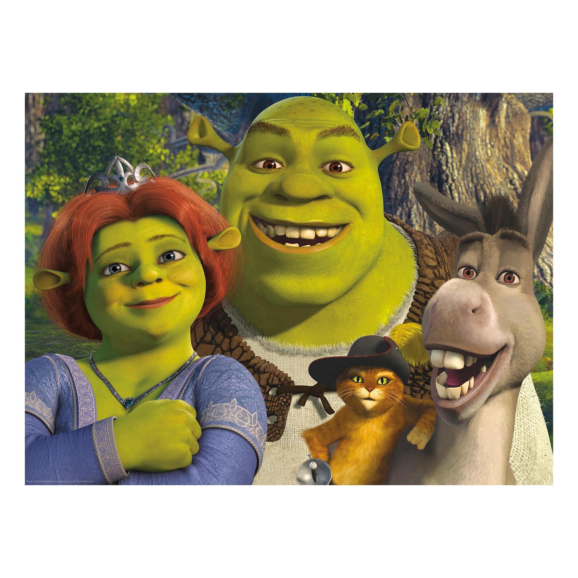 Shrek 500 Piece Jigsaw Puzzle (Vertical Box)