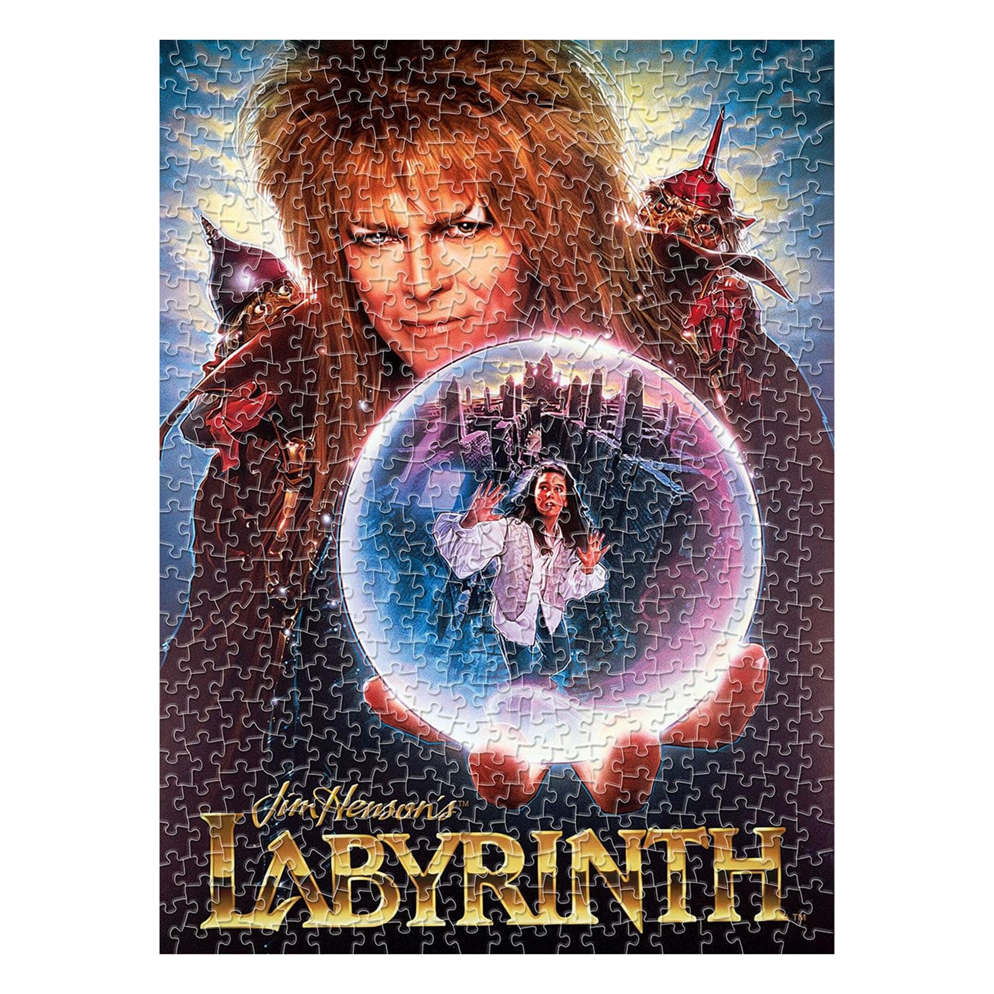 Labyrinth One Sheet 500 Piece Jigsaw Puzzle (Vertical Box)