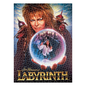 Labyrinth One Sheet 500 Piece Jigsaw Puzzle (Vertical Box)