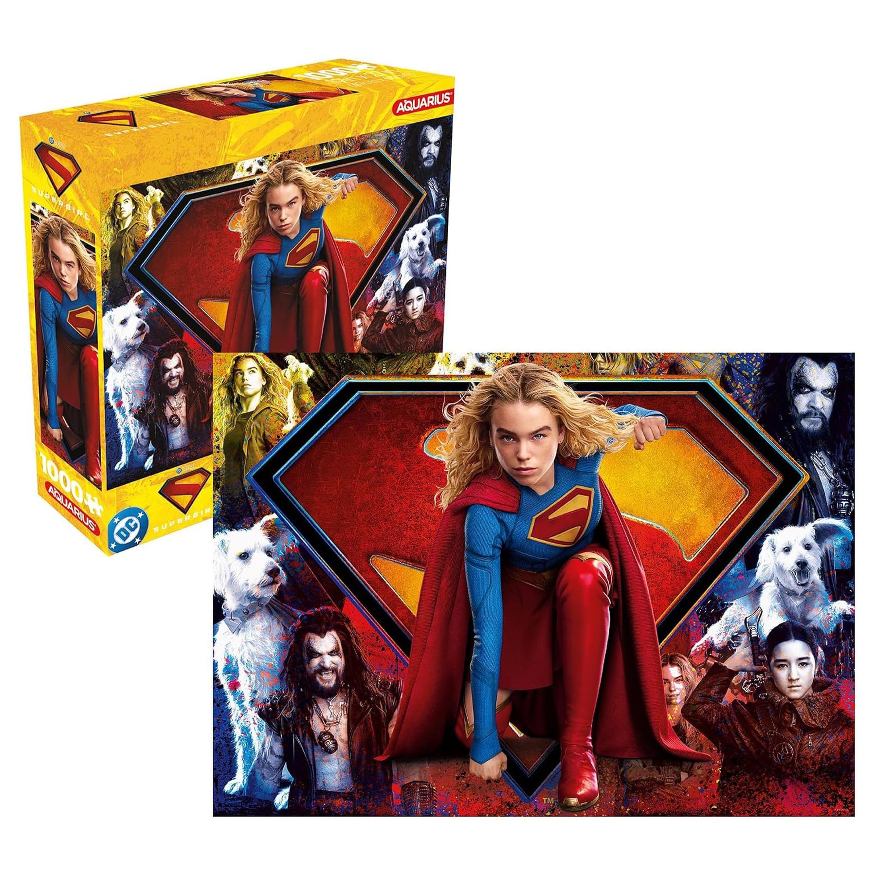 DC Comics Supergirl 1000-Piece Jigsaw Puzzle