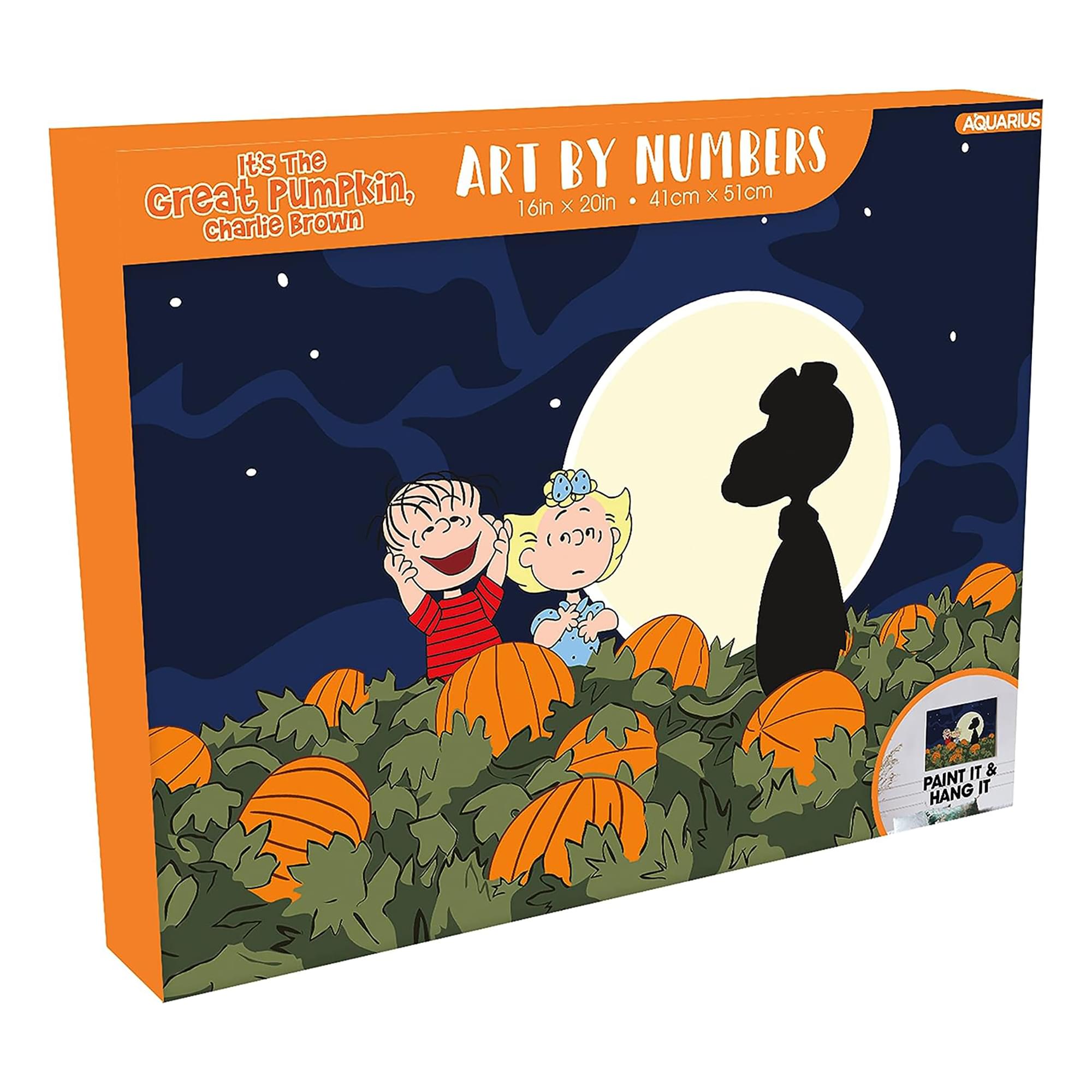 Peanuts Great Pumpkin Art By Numbers Craft Kit | Free Shipping