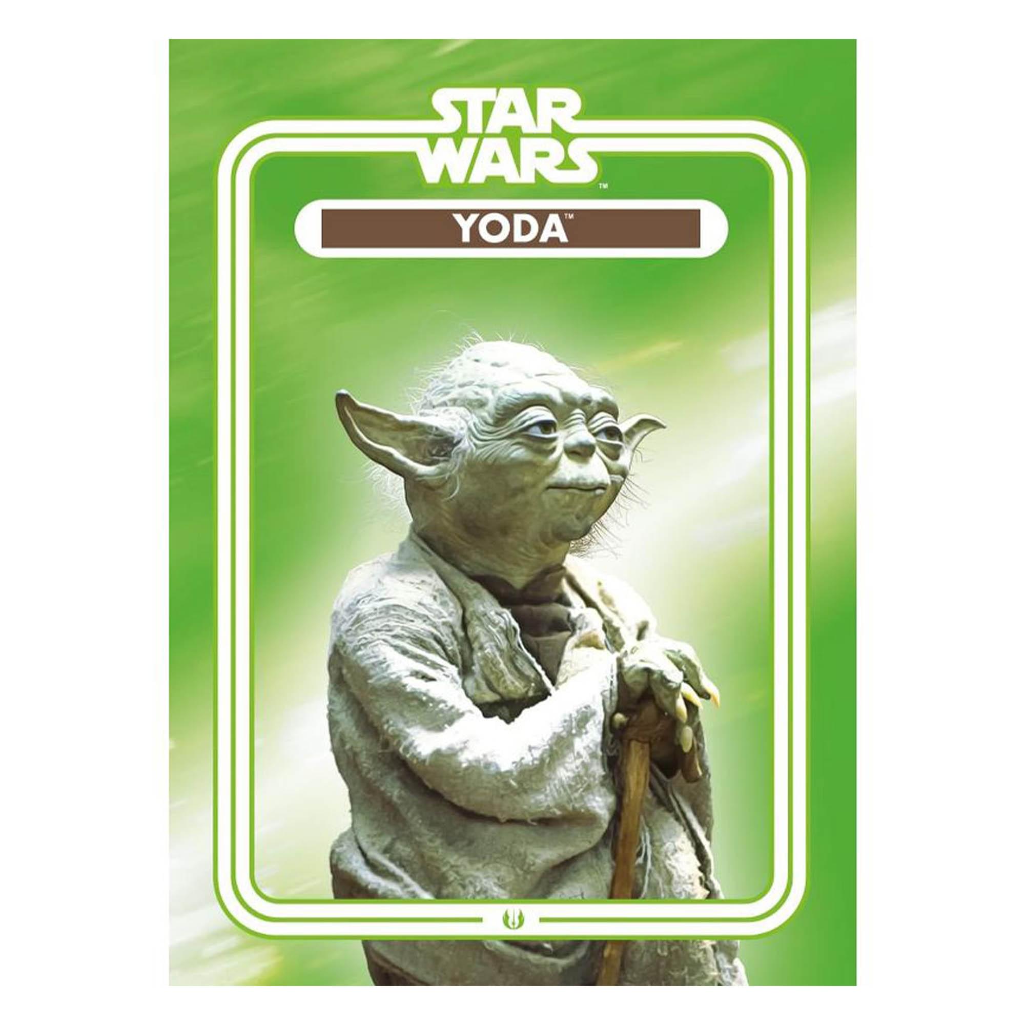 Star Wars Yoda 2.5 x 3.5 Inch Flat Magnet