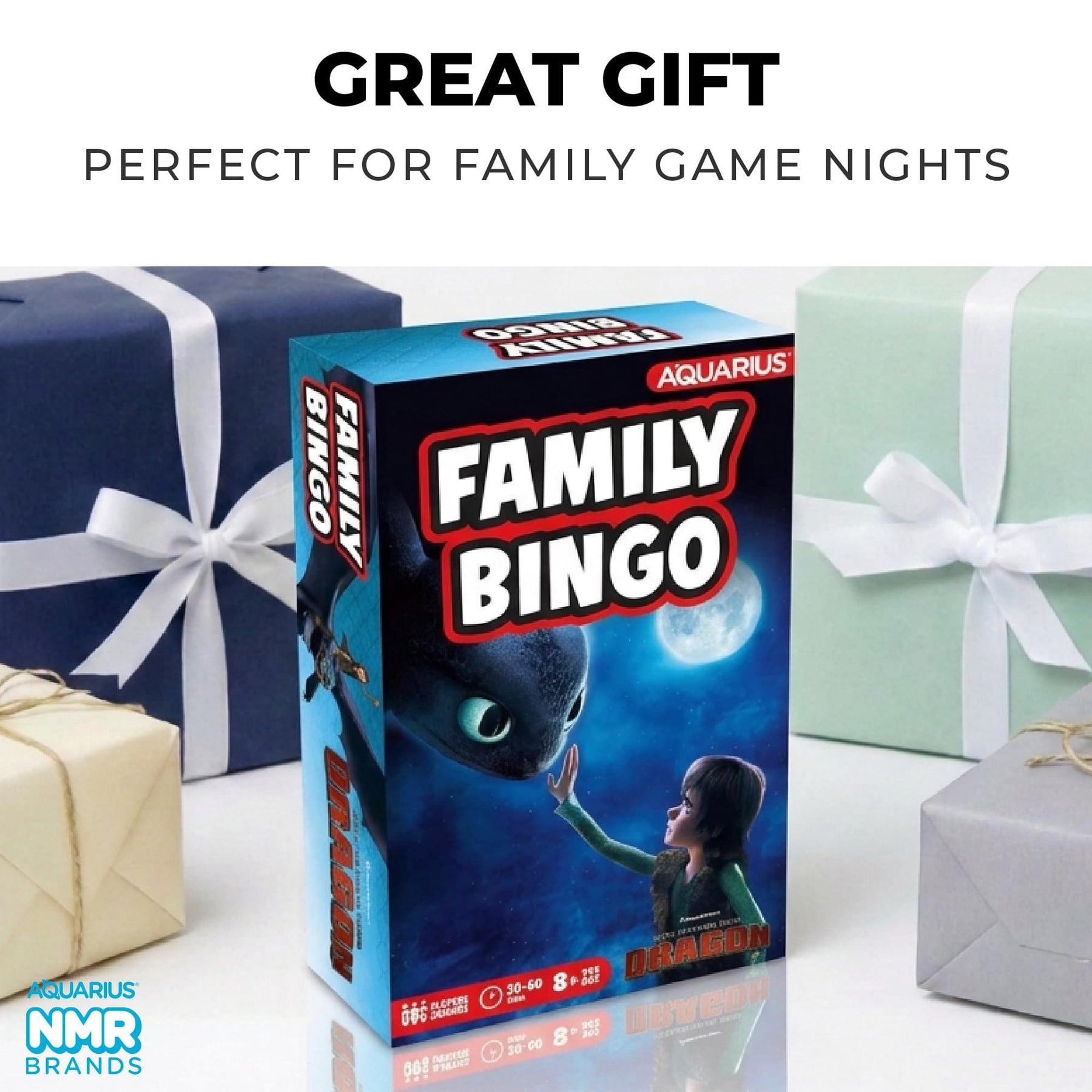 How To Train Your Dragon Family Bingo Game