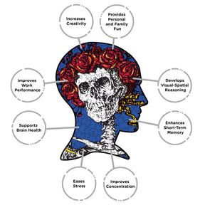 Grateful Dead Skull & Roses 450 Piece Record Disc Jigsaw Puzzle